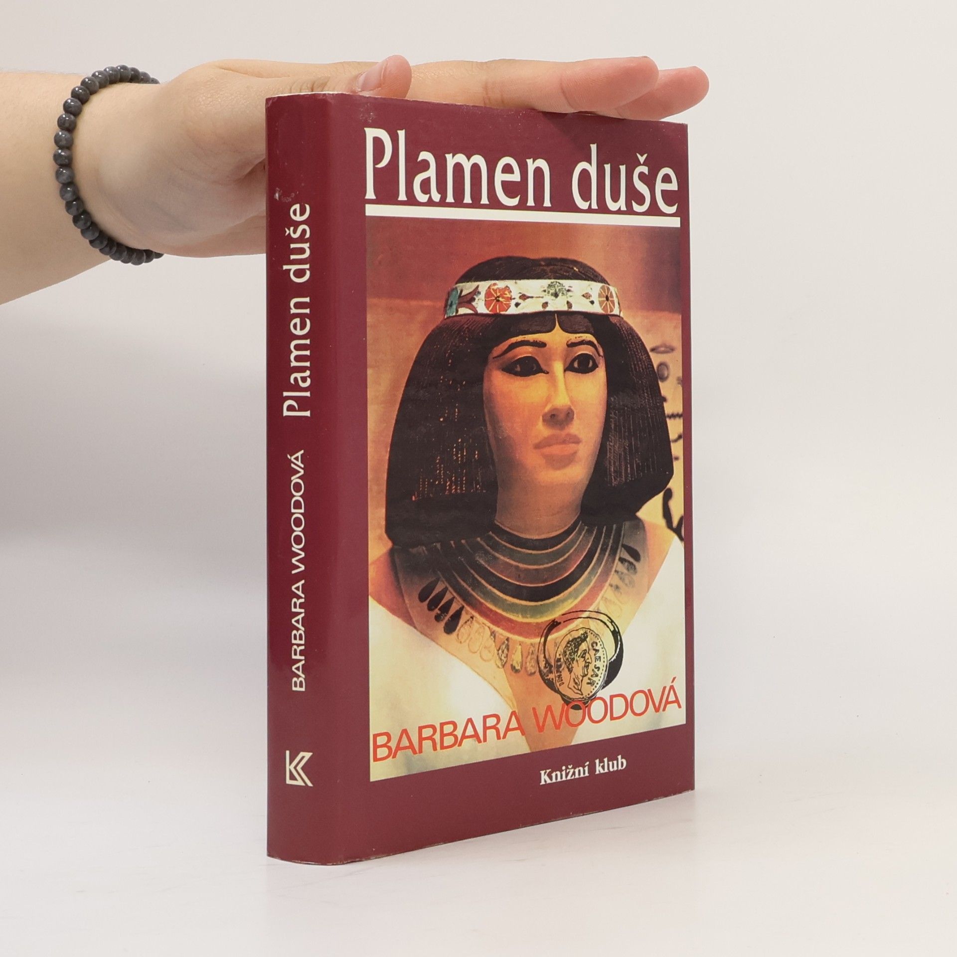 Barbara Wood Plamen duše