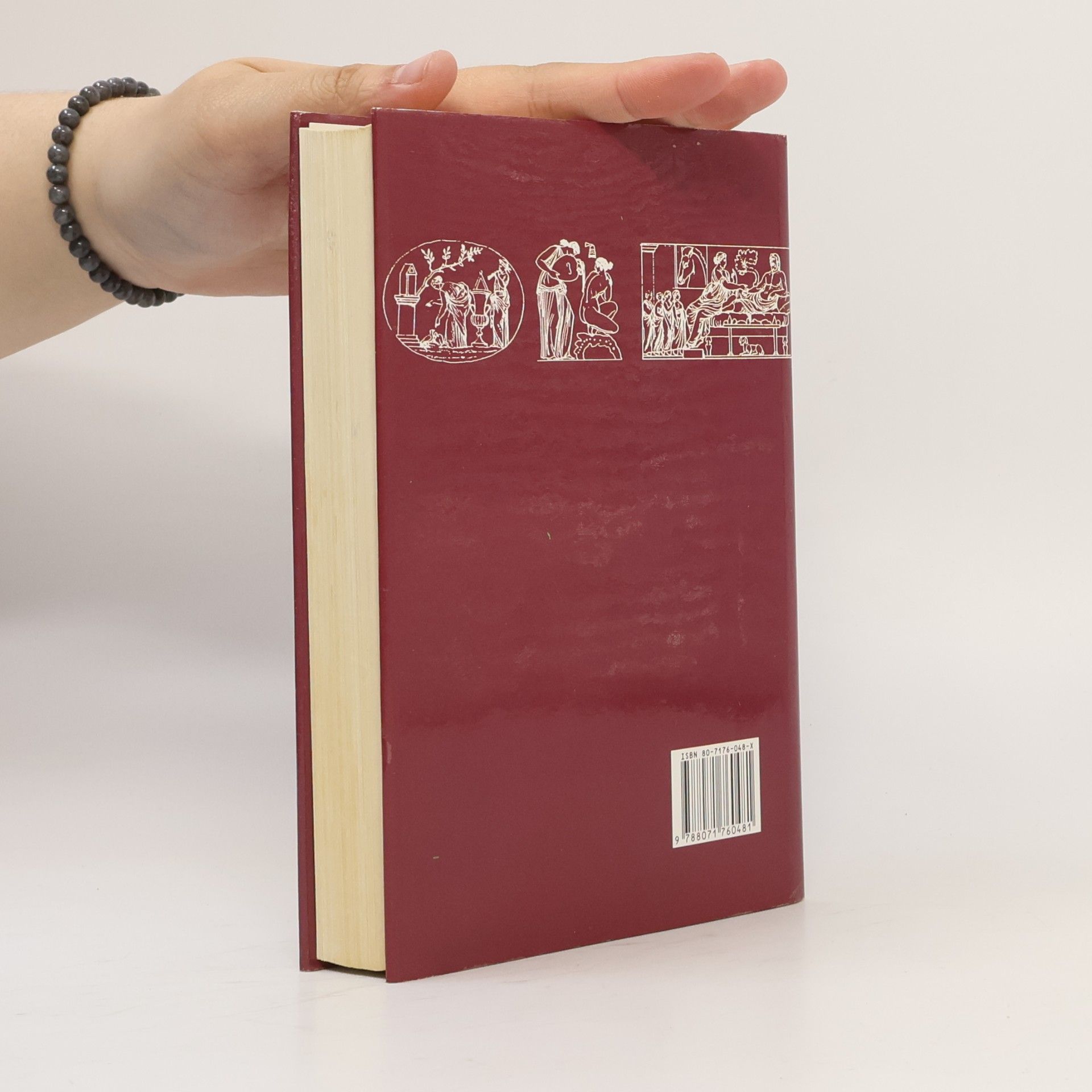 Barbara Wood Plamen duše