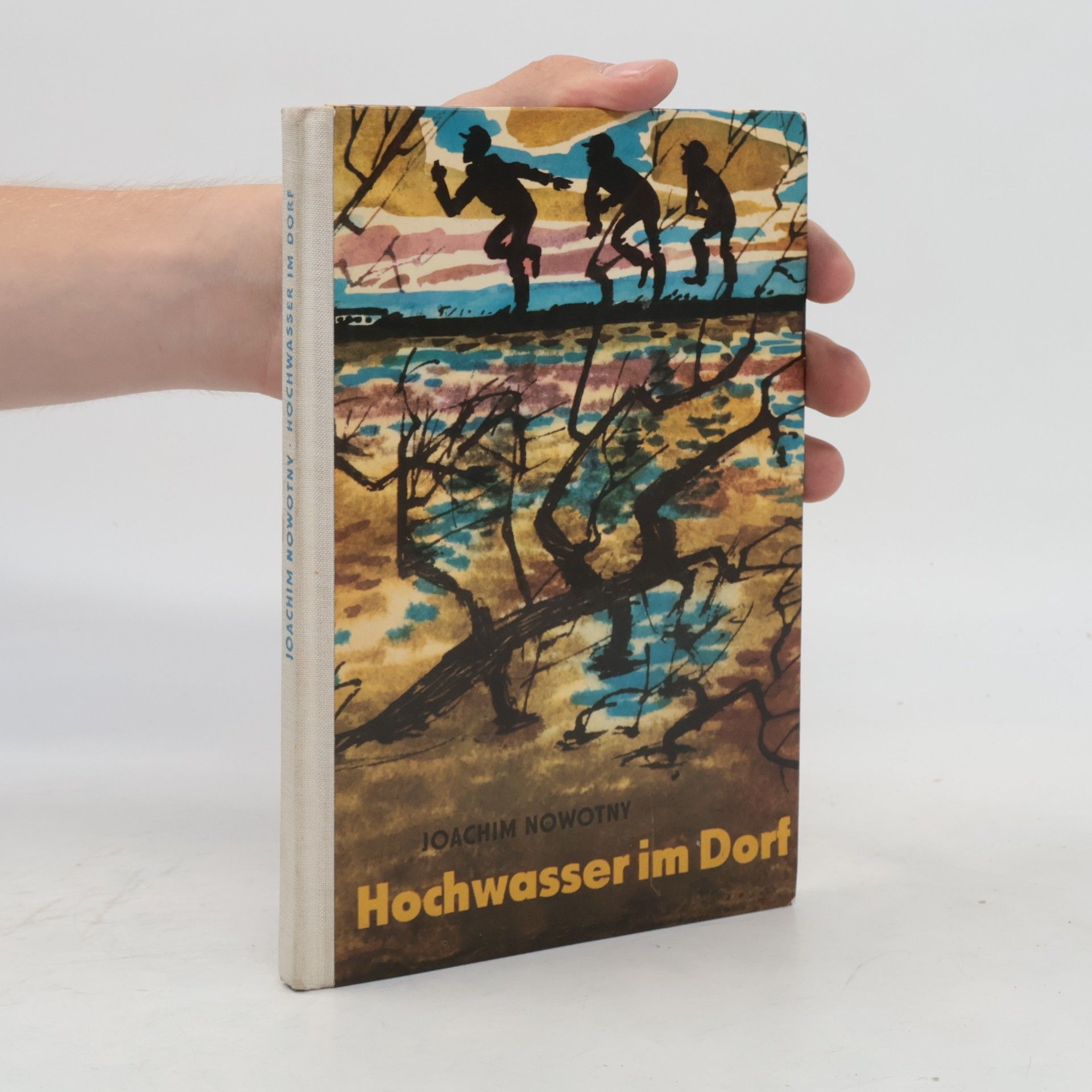 Joachim Nowotny Hochwasser im Dorf