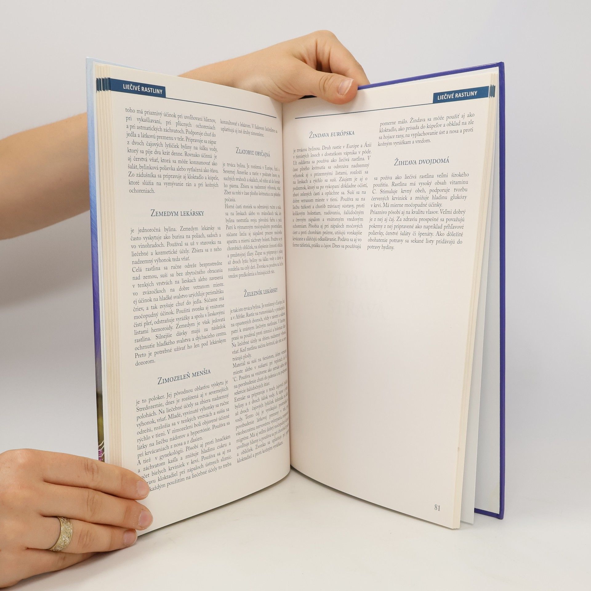 Autorenkollektiv Domáci lekár od babičky