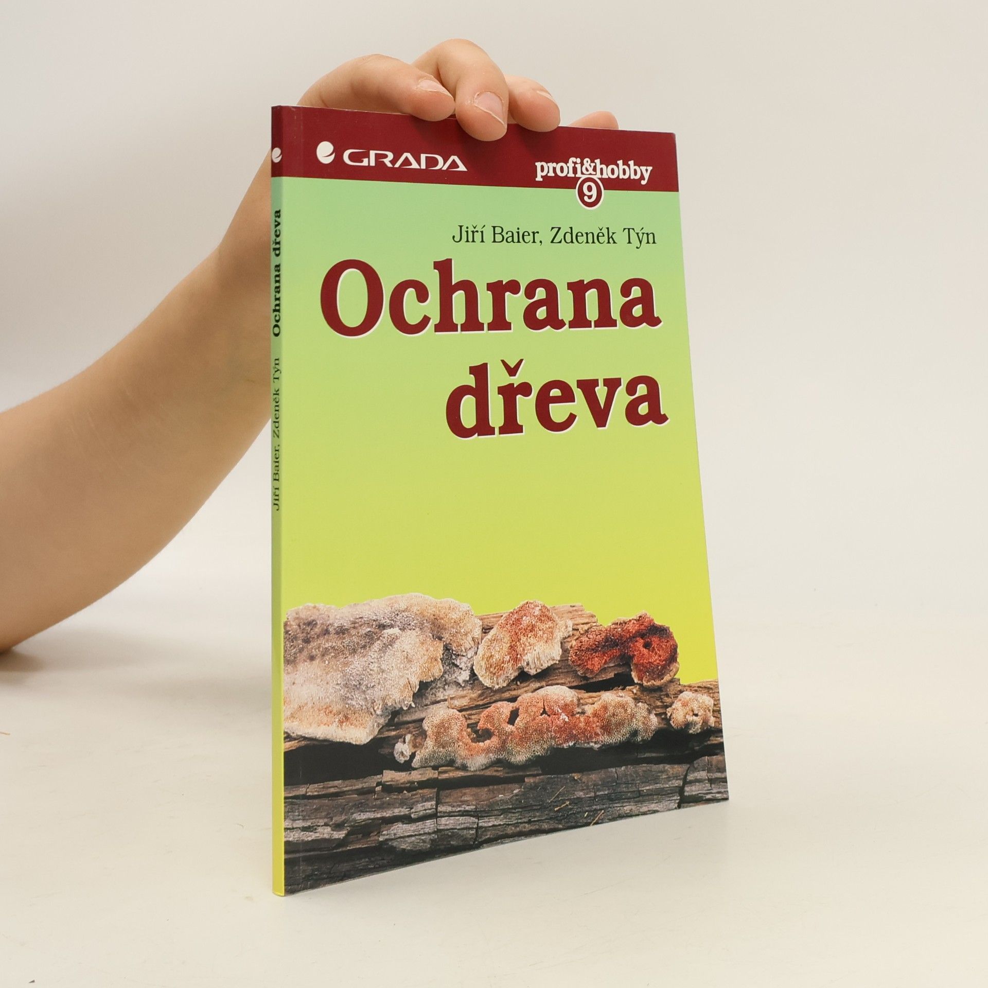 Zdeněk Týn Ochrana dřeva