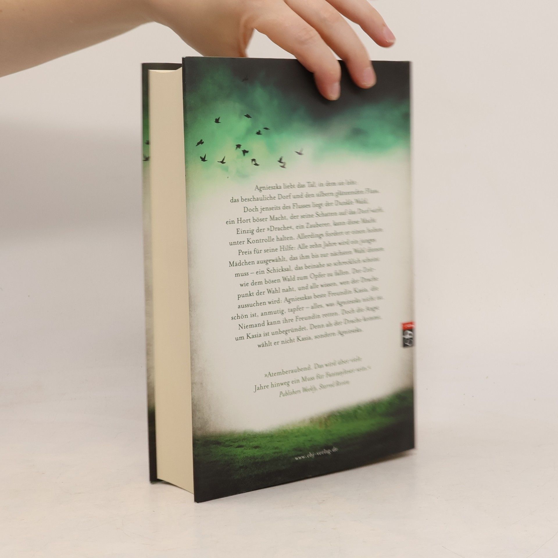 Naomi Novik Das dunkle Herz des Waldes