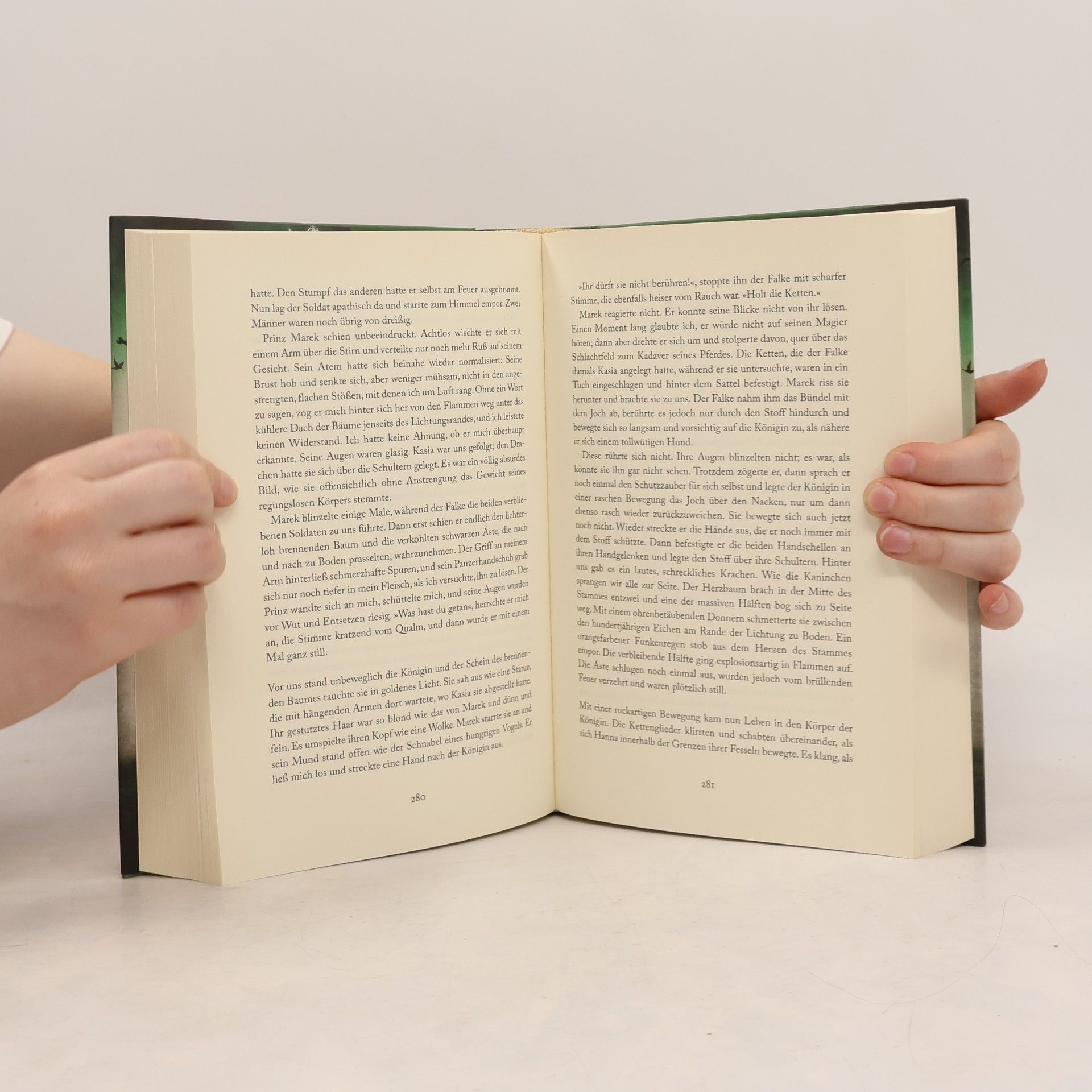 Naomi Novik Das dunkle Herz des Waldes