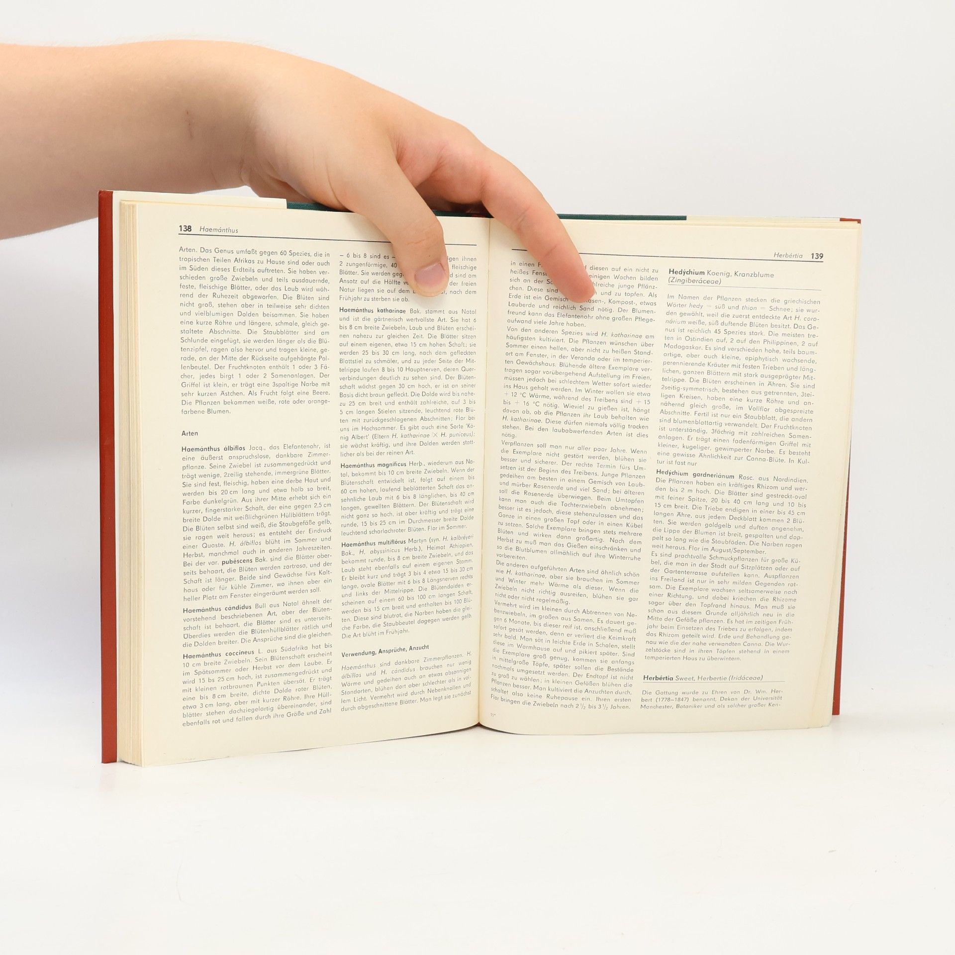 Christian Grunert Das Blumenzwiebelbuch