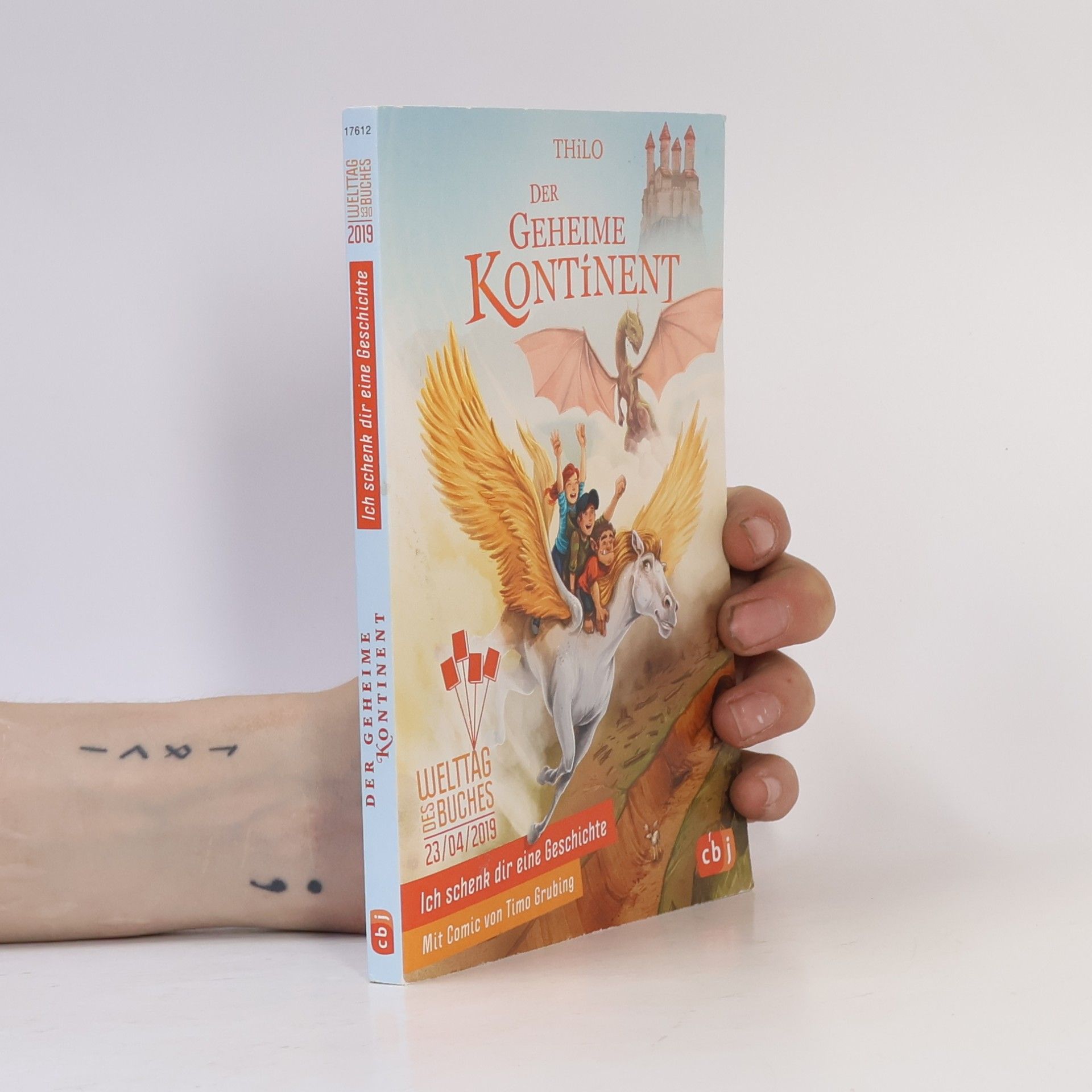 Ich schenk dir eine Geschichte. Der geheime Kontinent