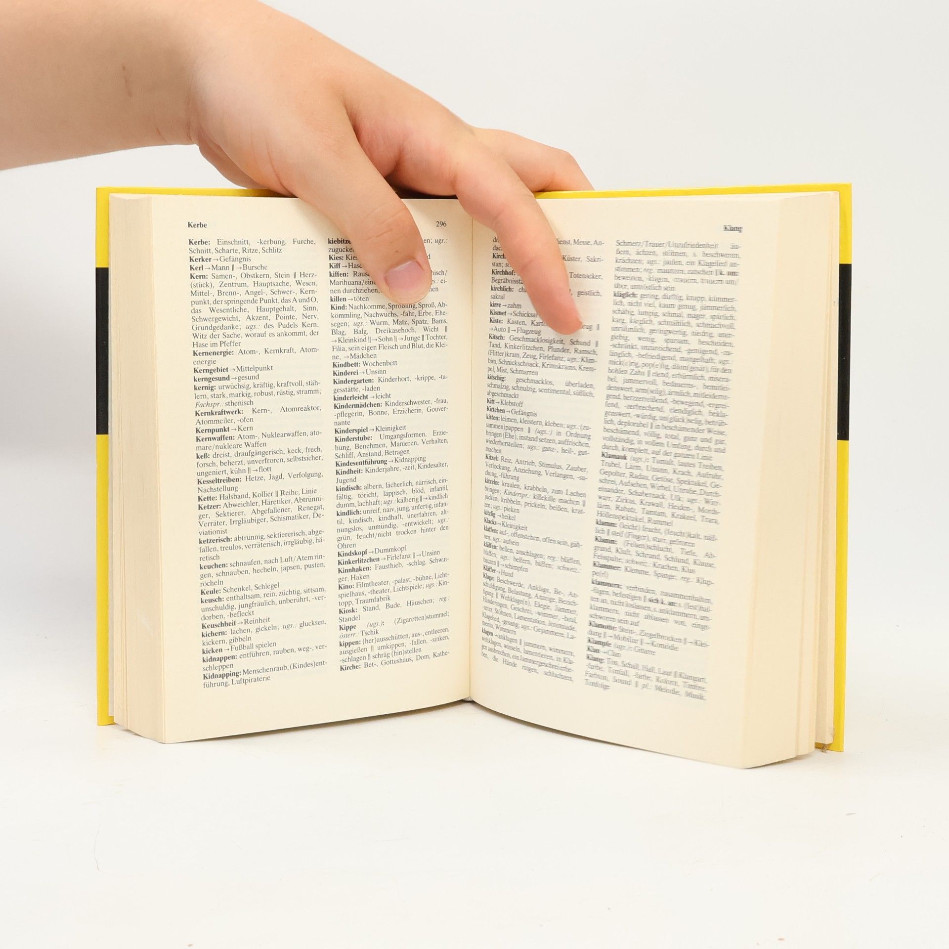 Siegrid Radszuweit Knaurs Wörterbuch der Synonyme