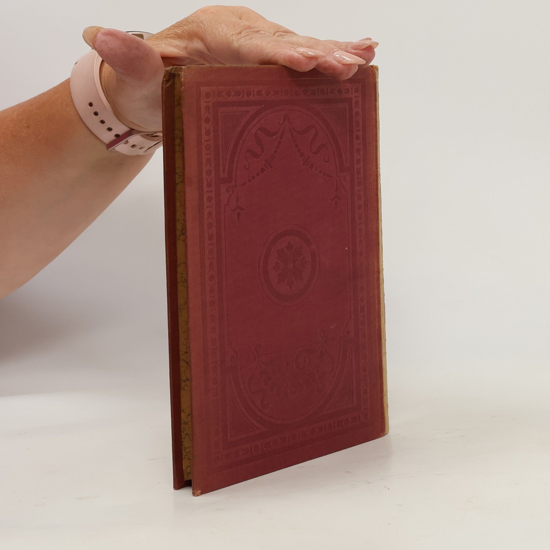 Johann Wolfgang von Goethe Goethes sämtliche Werke 33