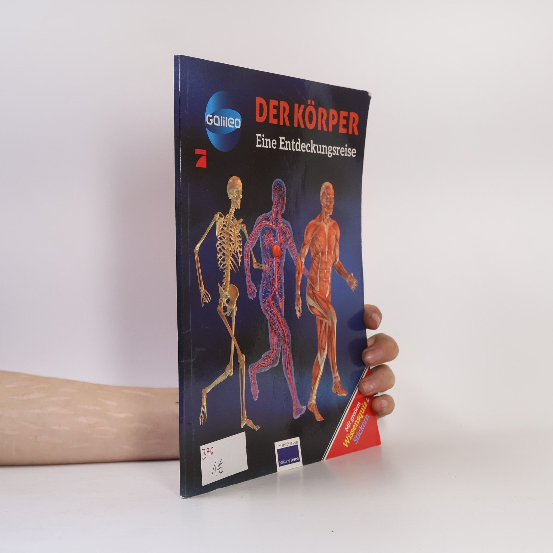 Cathy Franco Der Körper