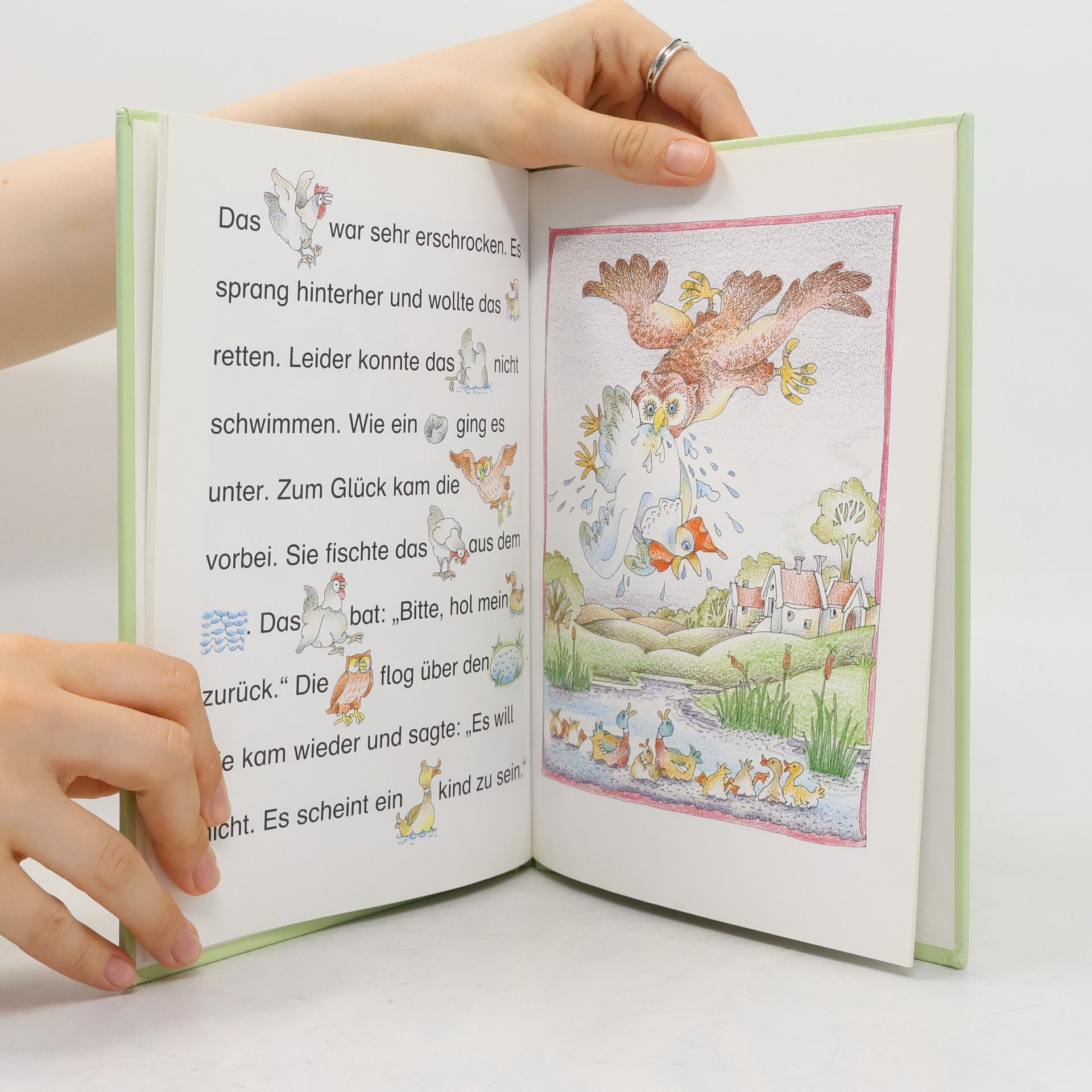 Margret Rettich Lesebilderbuch: Vom Huhn, das so allein war
