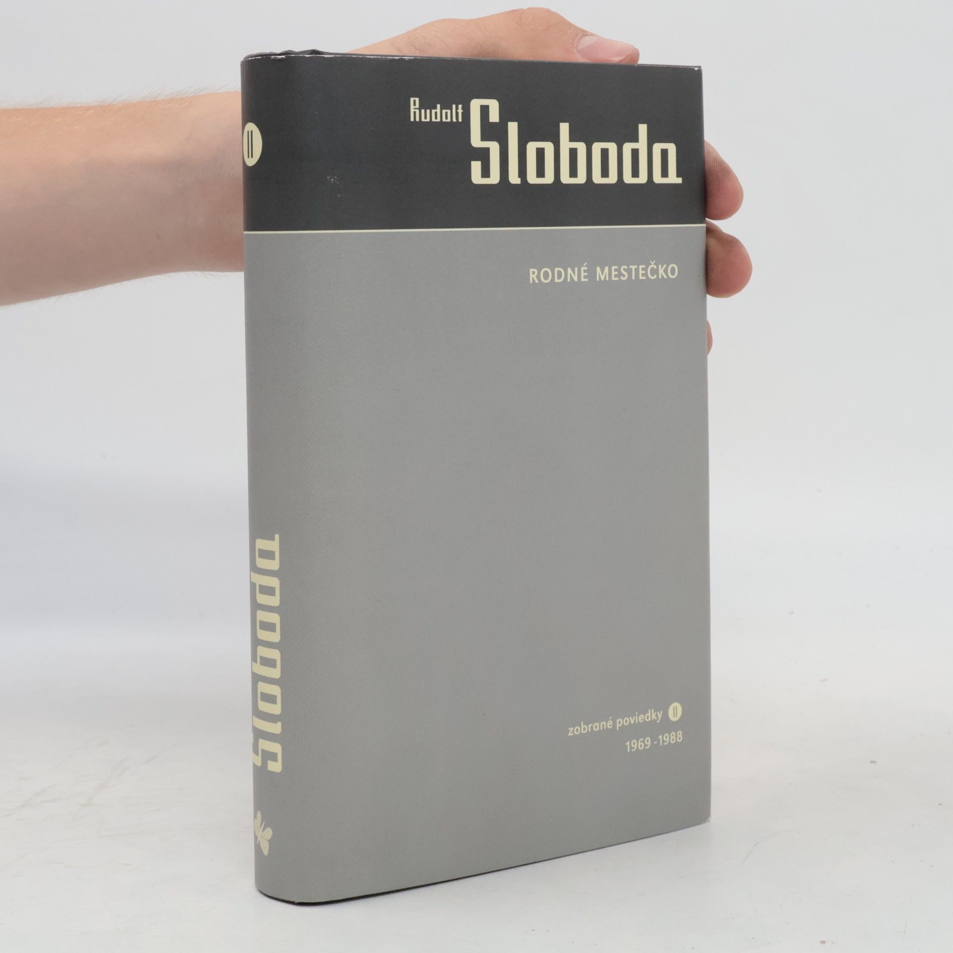 Rodné mestečko : zobrané poviedky II (1969-1988)