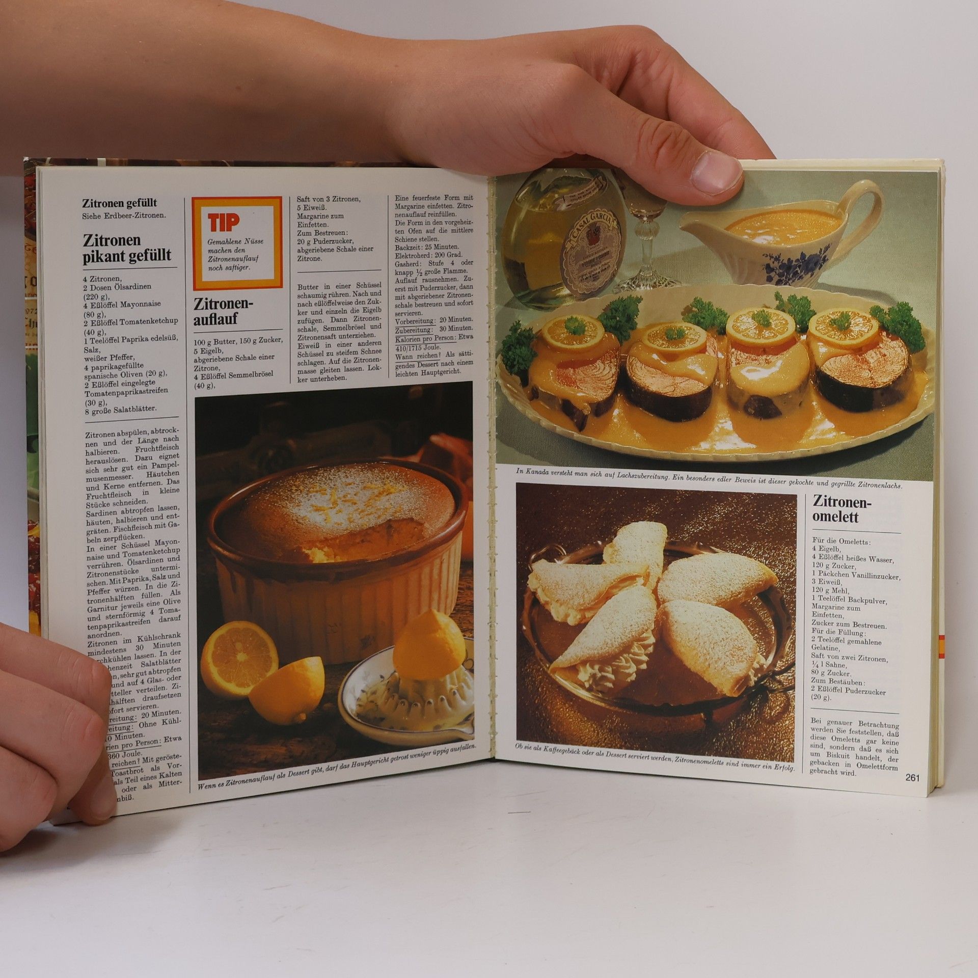 Autorenkollektiv Menu. Das große moderne Kochlexikon 10