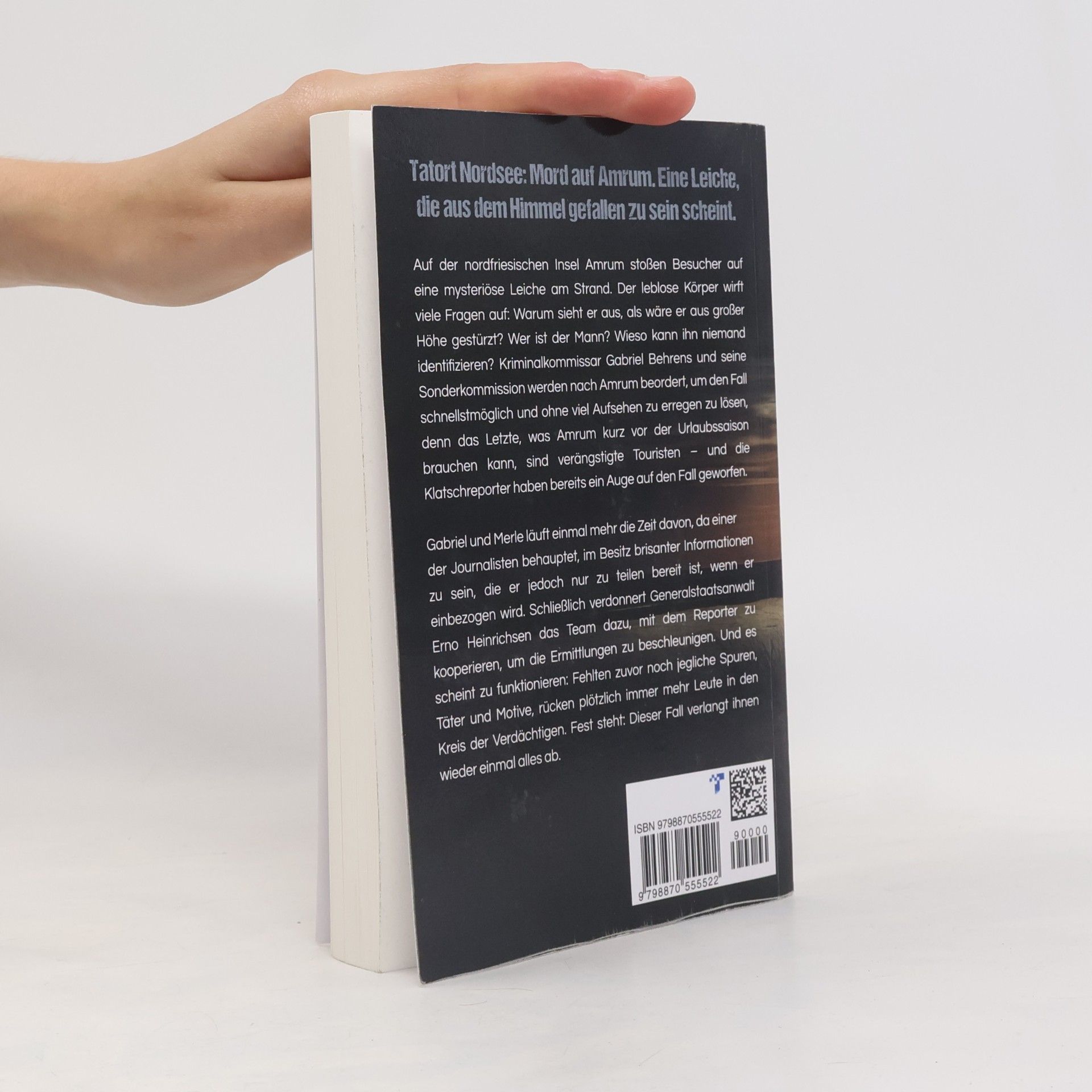 Hannah Husum Behrens & Winter ermitteln - 6: Der Tote aus dem Himmel