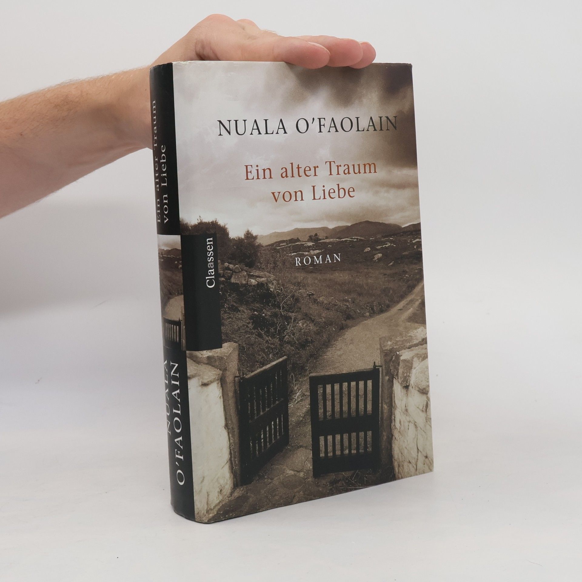 Nuala O. Faolain Ein alter Traum von Liebe