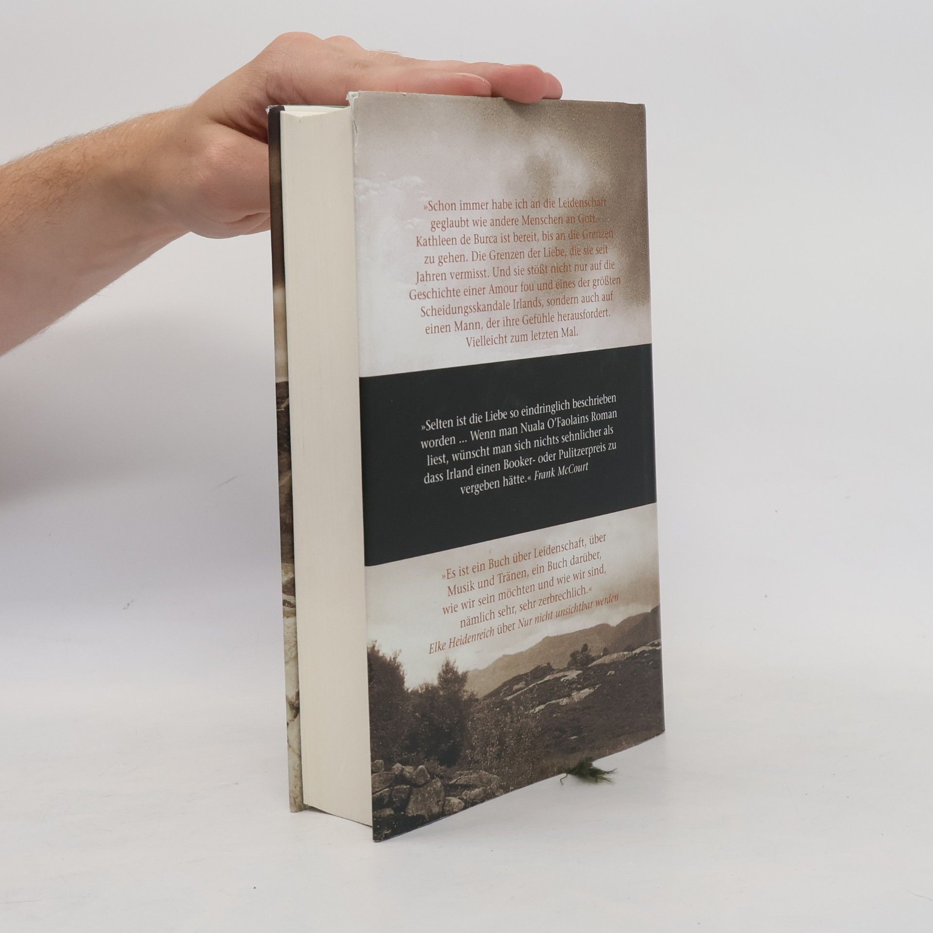 Nuala O. Faolain Ein alter Traum von Liebe