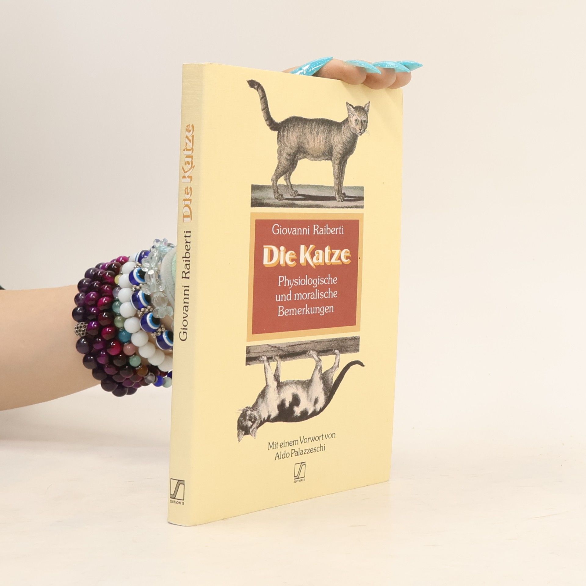 Giovanni Raiberti Die Katze
