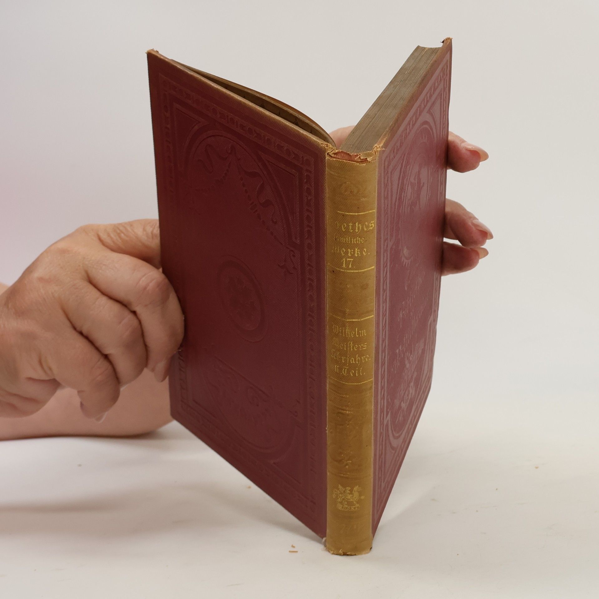 Johann Wolfgang von Goethe Goethes sämtliche Werke 17