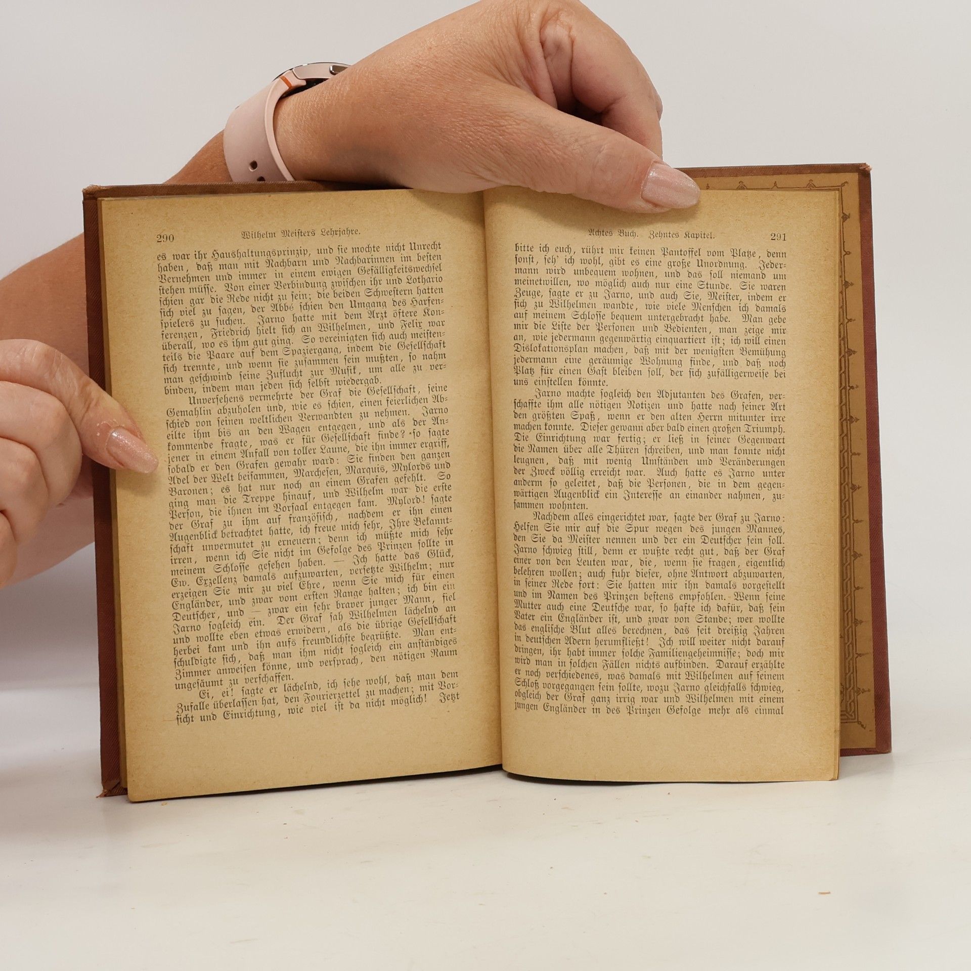Johann Wolfgang von Goethe Goethes sämtliche Werke 17