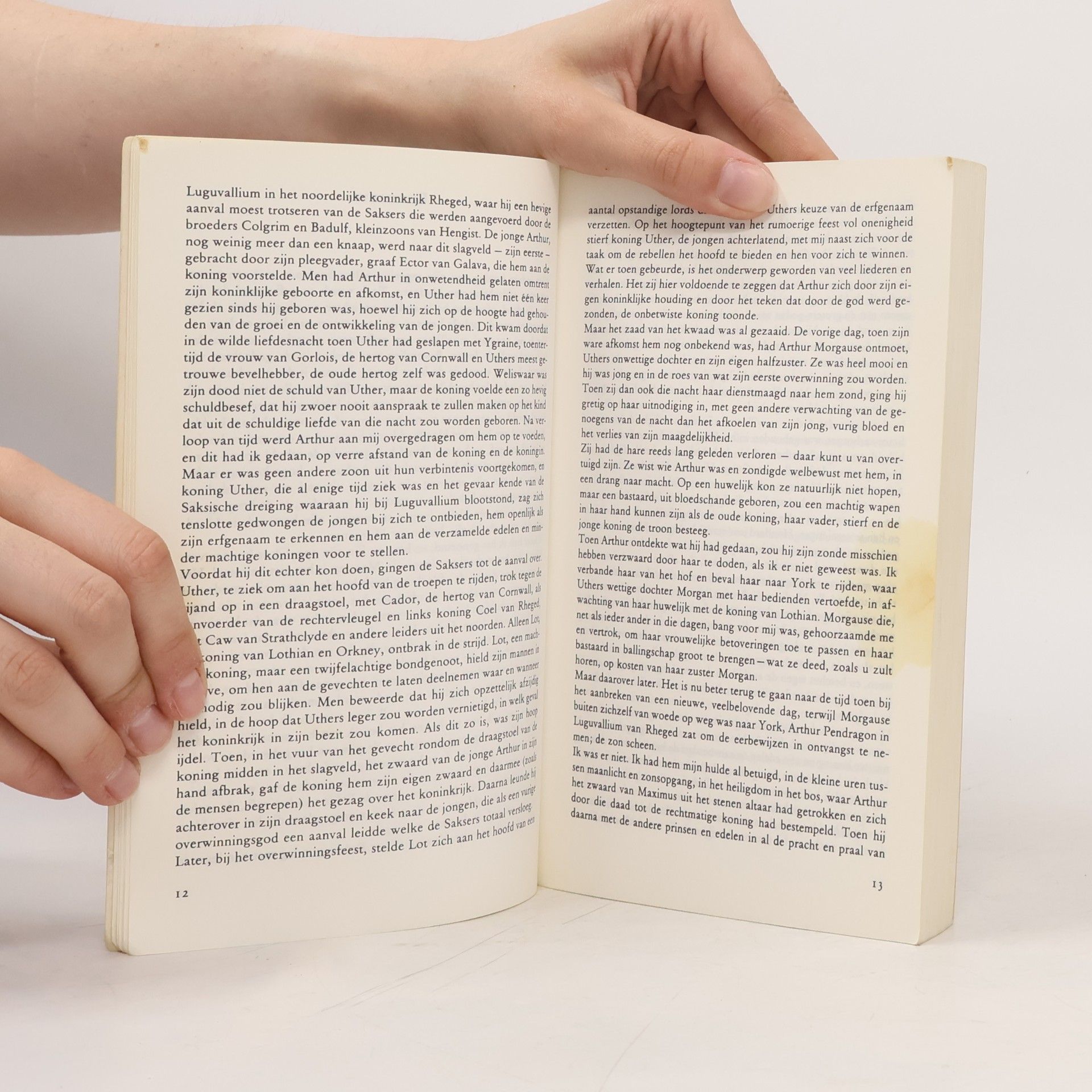 Mary Stewart Merlijn-trilogie - 3: De laatste betovering