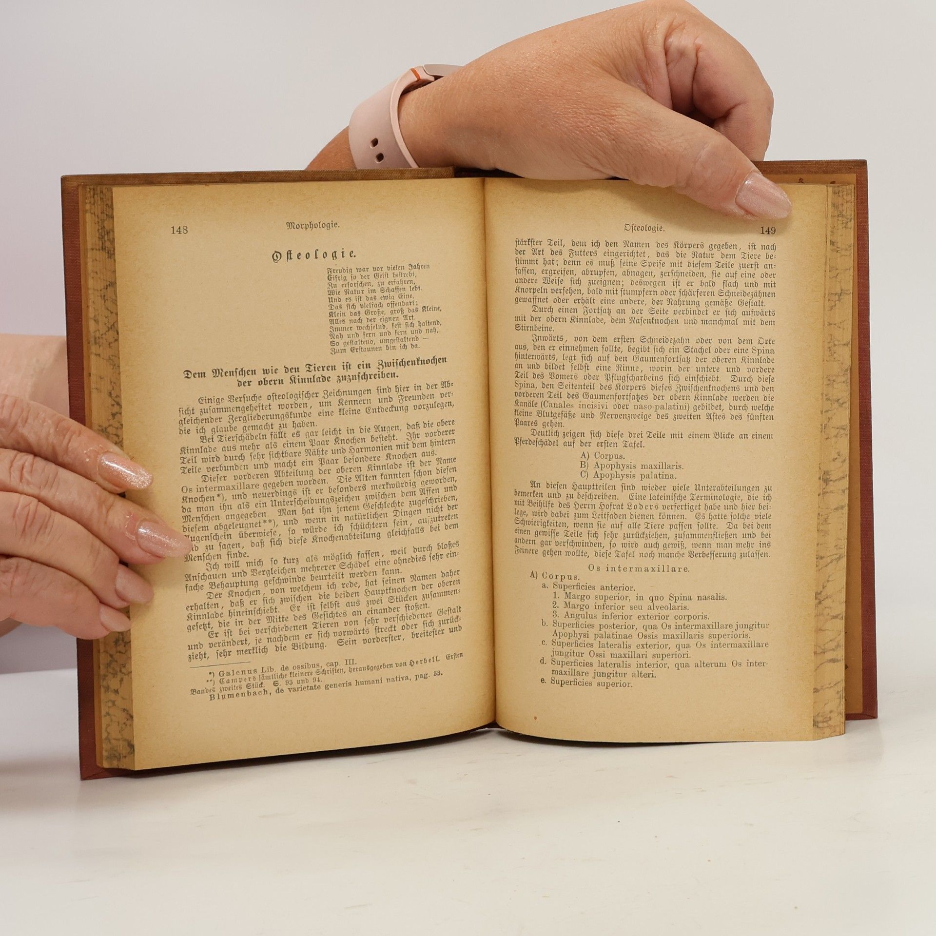 Johann Wolfgang von Goethe Goethes sämtliche Werke