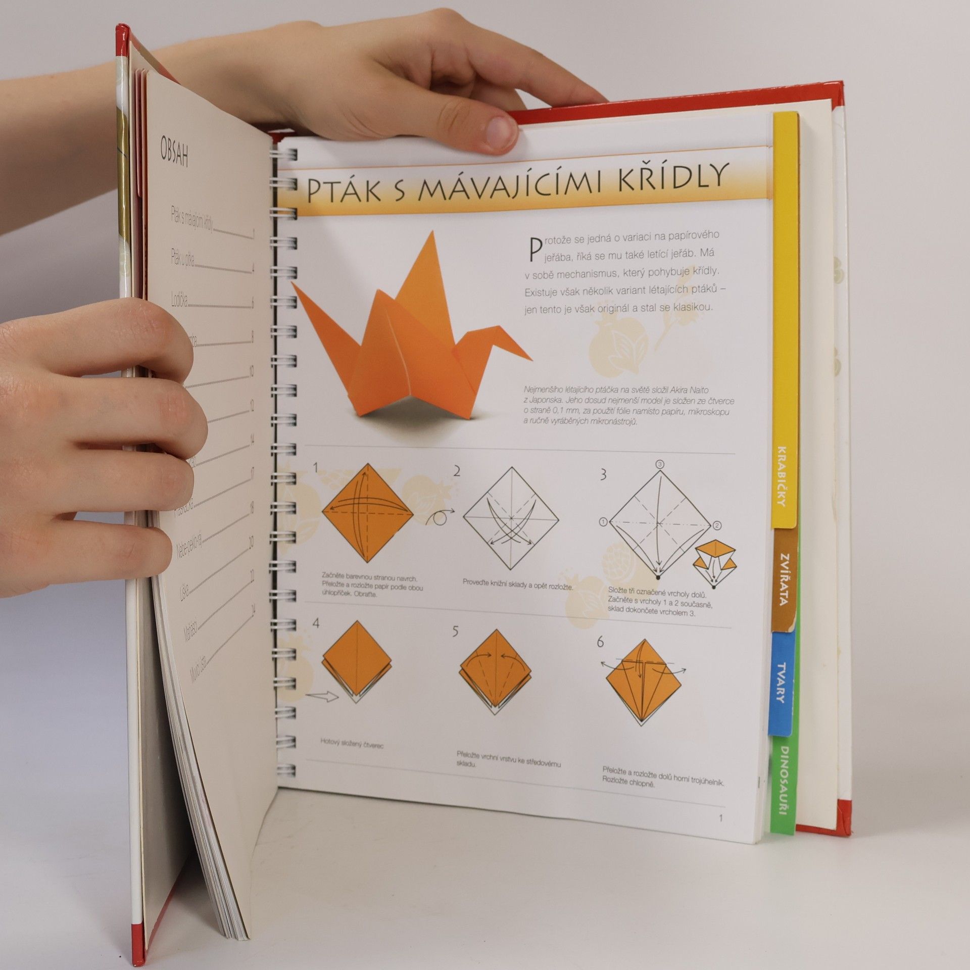 Matthew Gardiner Velká kniha origami