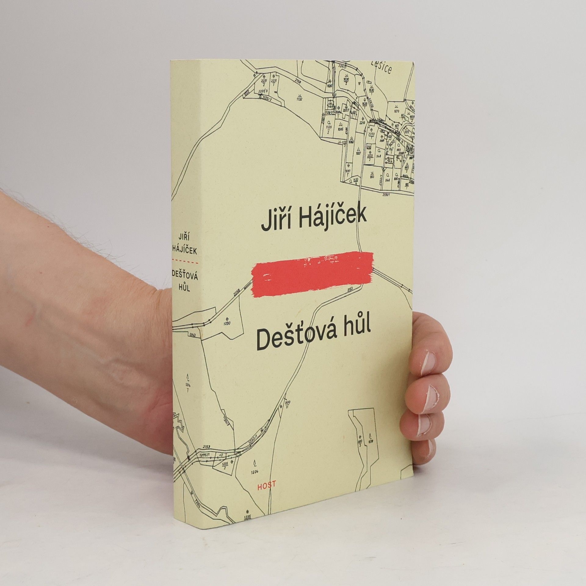 Jiří Hájíček Dešťová hůl