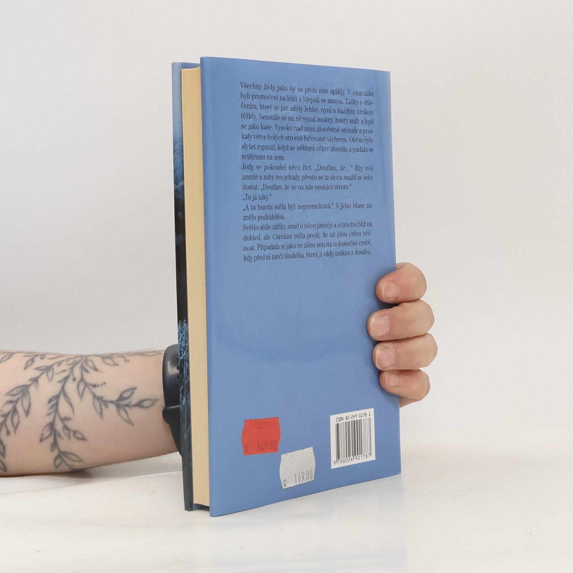 Rosamunde Pilcher Jarní vánice