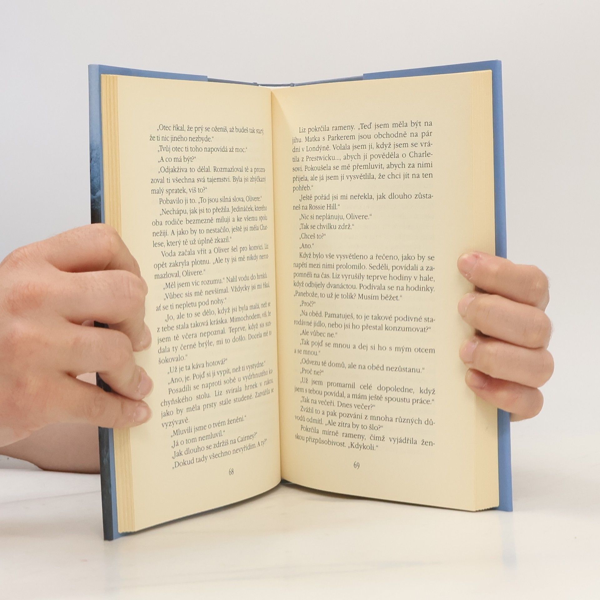 Rosamunde Pilcher Jarní vánice