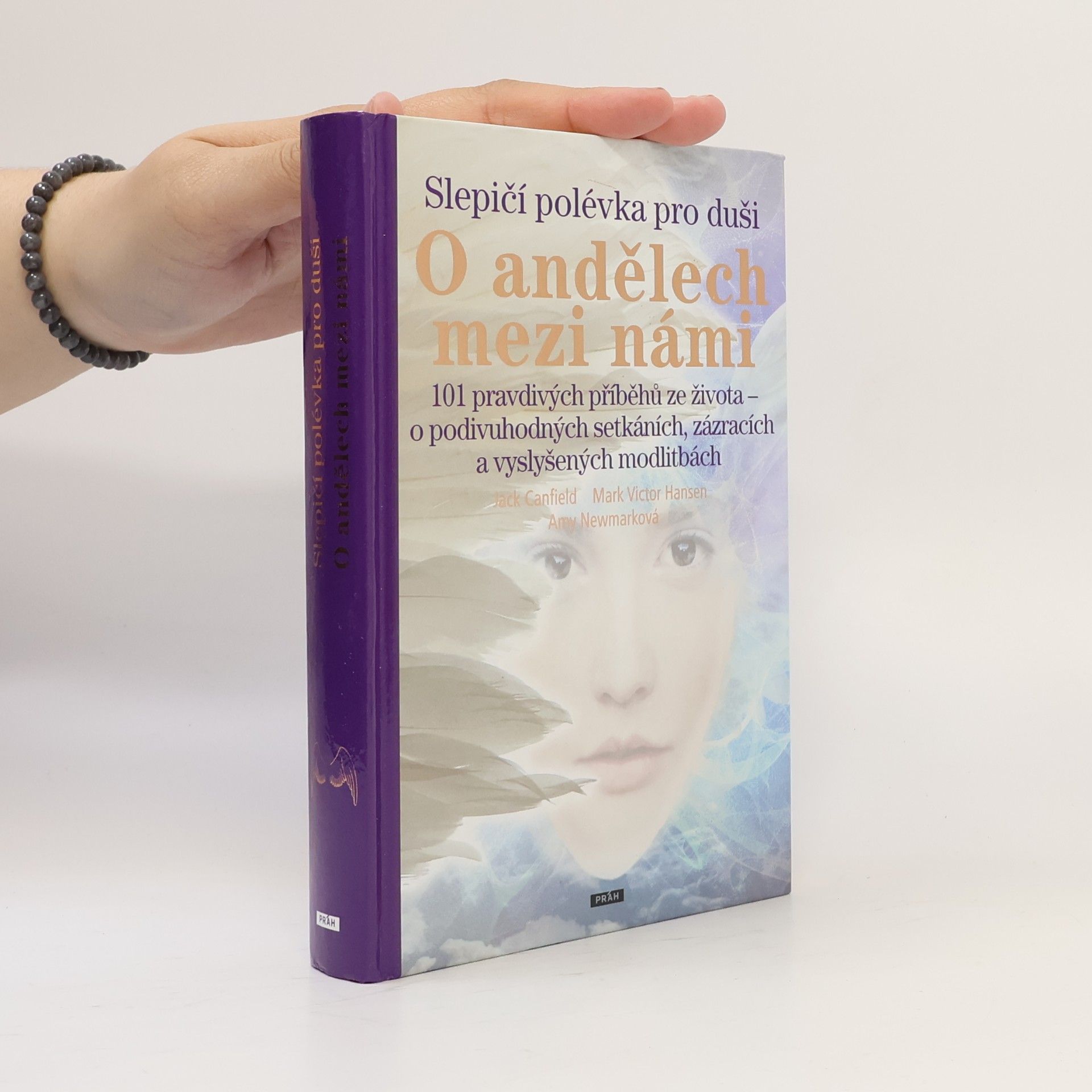 Amy Newmark Slepičí polévka pro duši - o andělech mezi námi