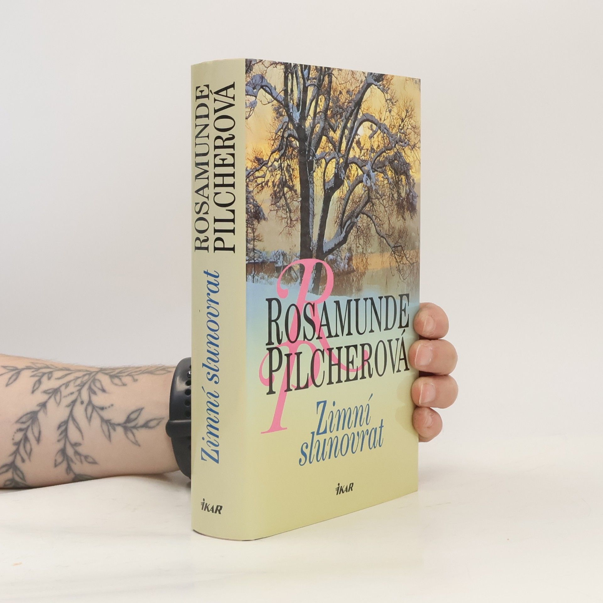 Rosamunde Pilcher Zimní slunovrat