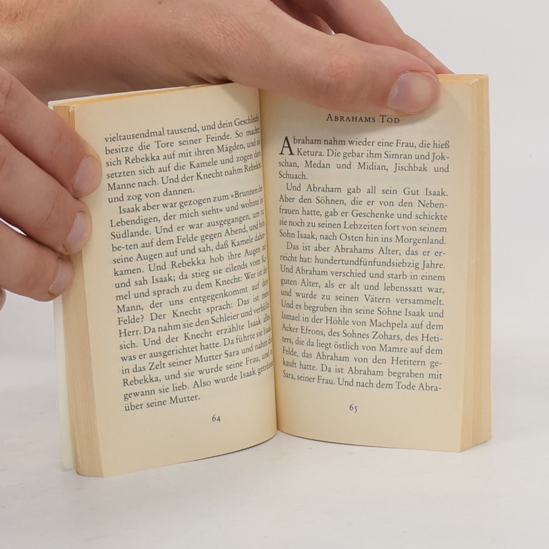 Martin Luther Die Geschichte von der Erschaffung der Welt - Von Adam und Eva, von ihrem Sündenfall, von Abraham, Jakob und von Joseph und seinen Brüdern - In der Übertragung von Martin Luther