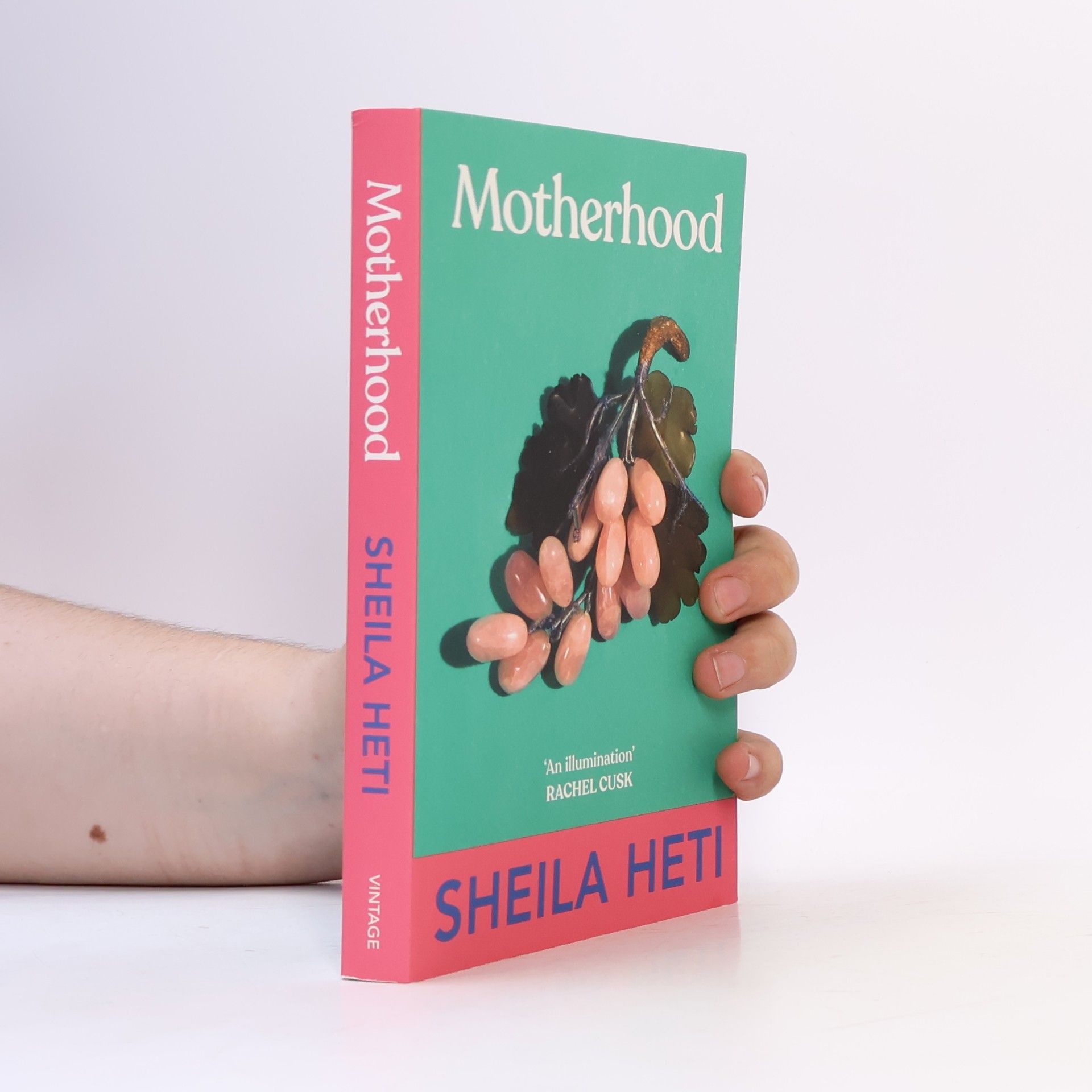 Sheila Heti Motherhood