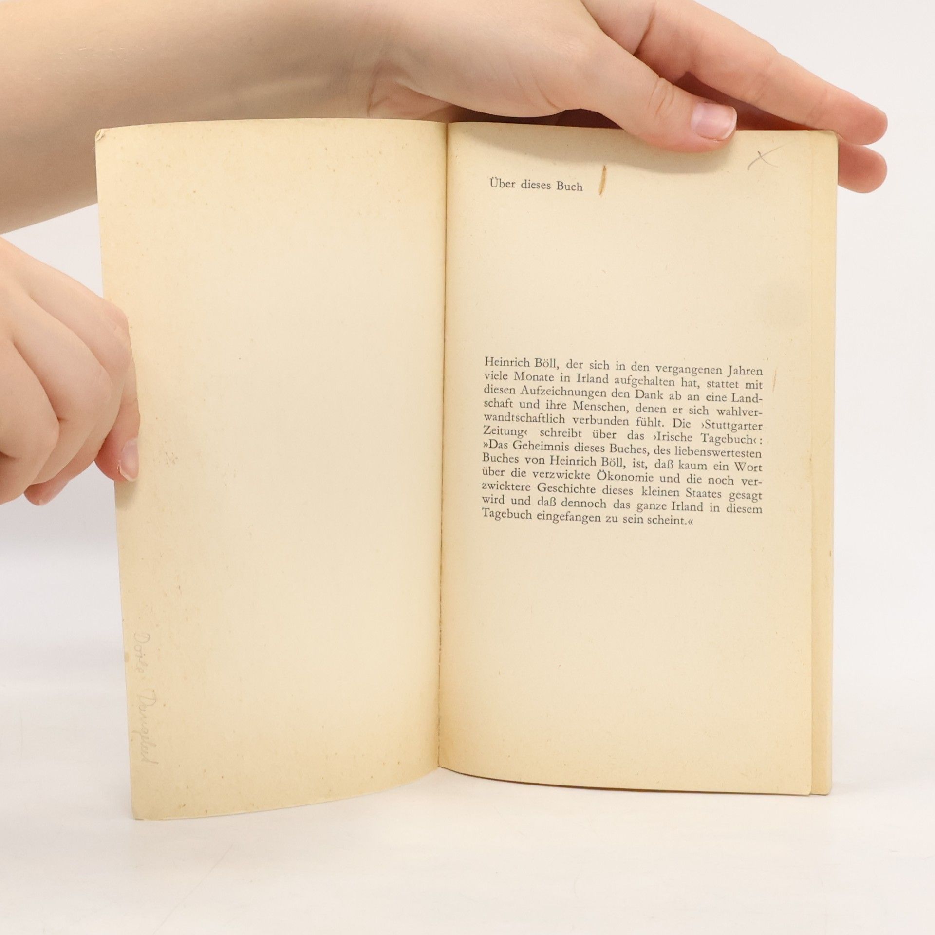 Heinrich Böll Irisches Tagebuch