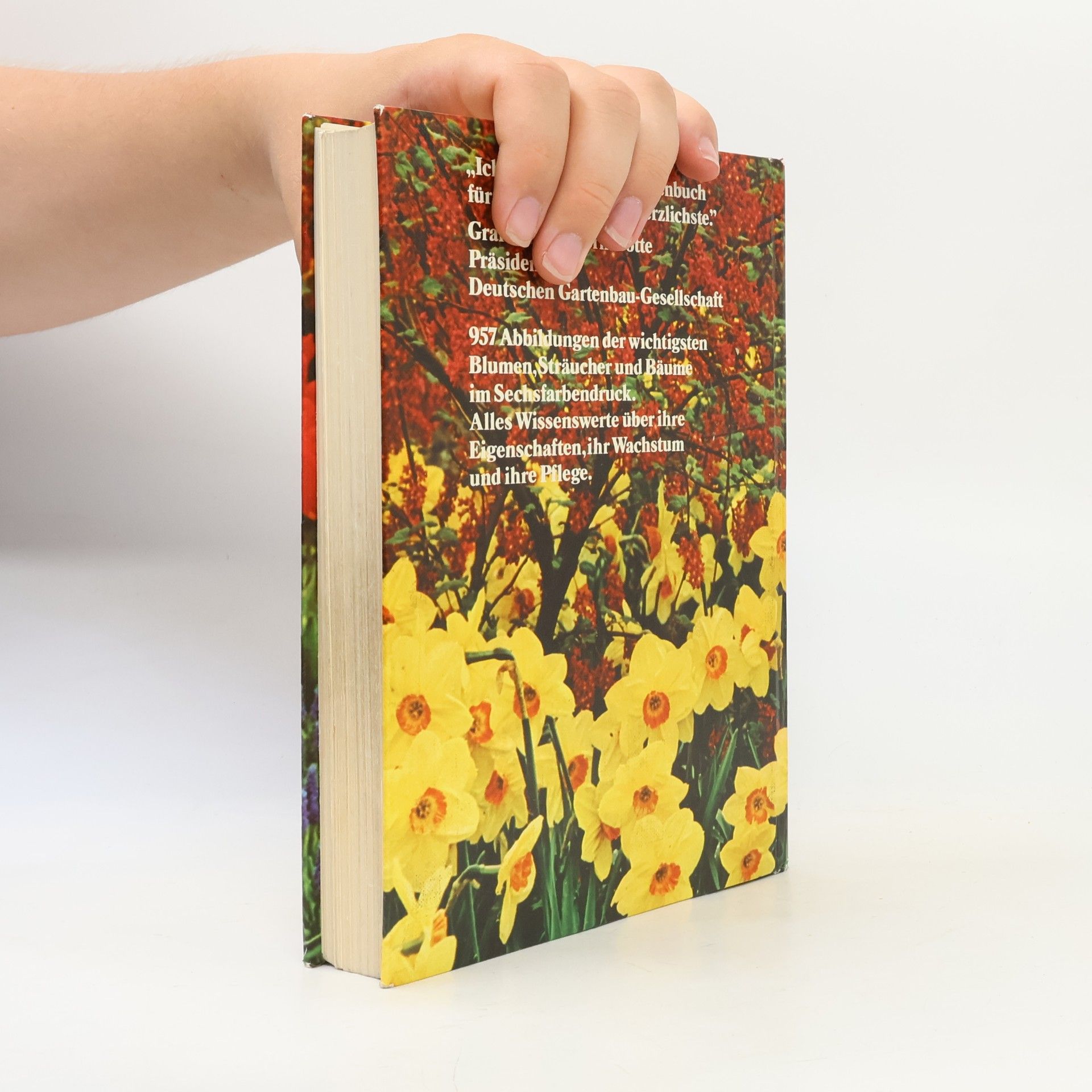 Horst Koehler Horst Koehler's grosses Blumenbuch