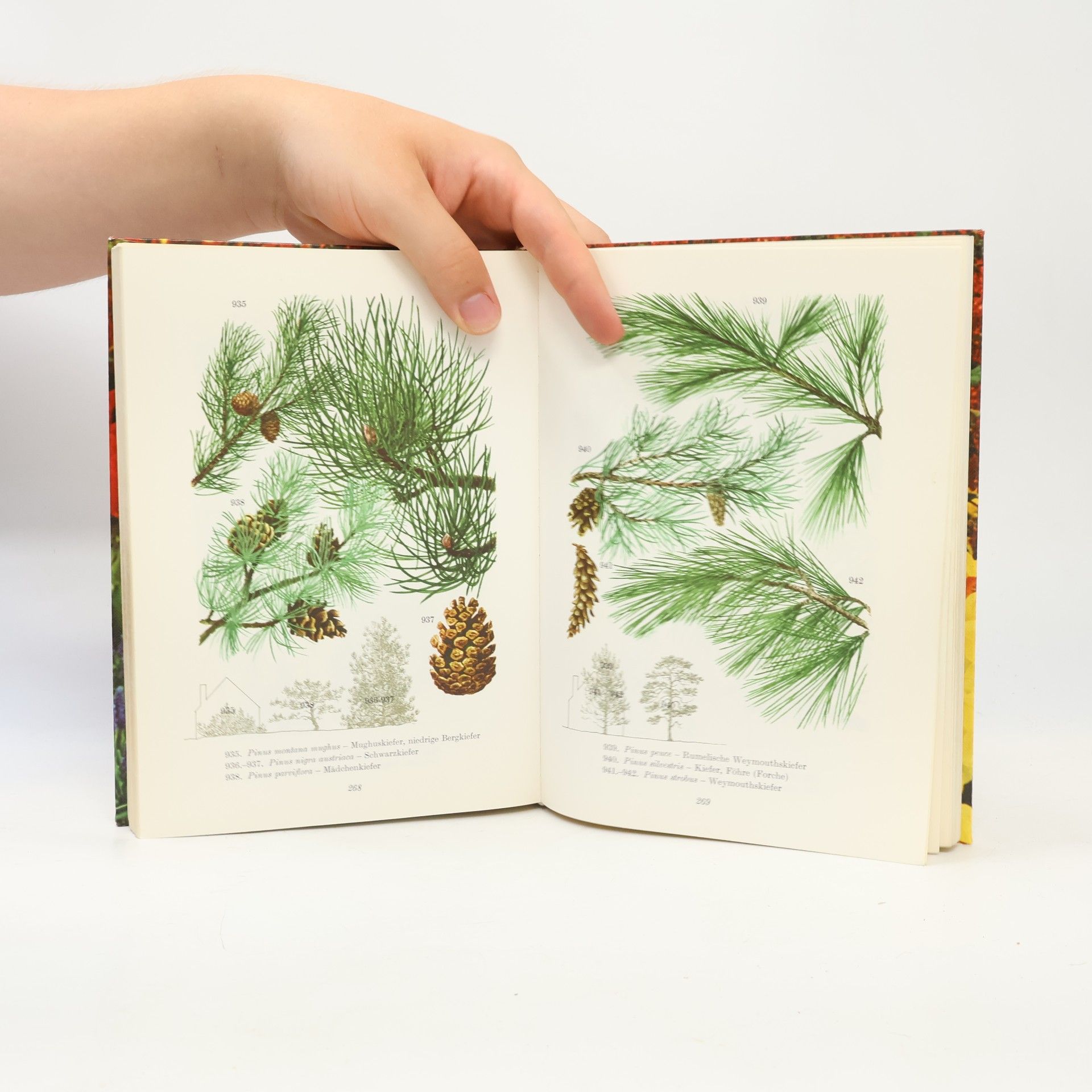 Horst Koehler Horst Koehler's grosses Blumenbuch