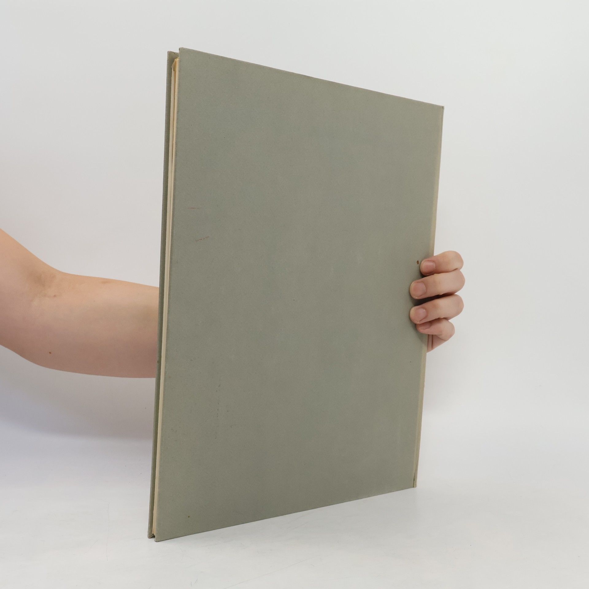 John Canaday Metropolitan Seminars in Art Portfolio 1. What is a Paiting?