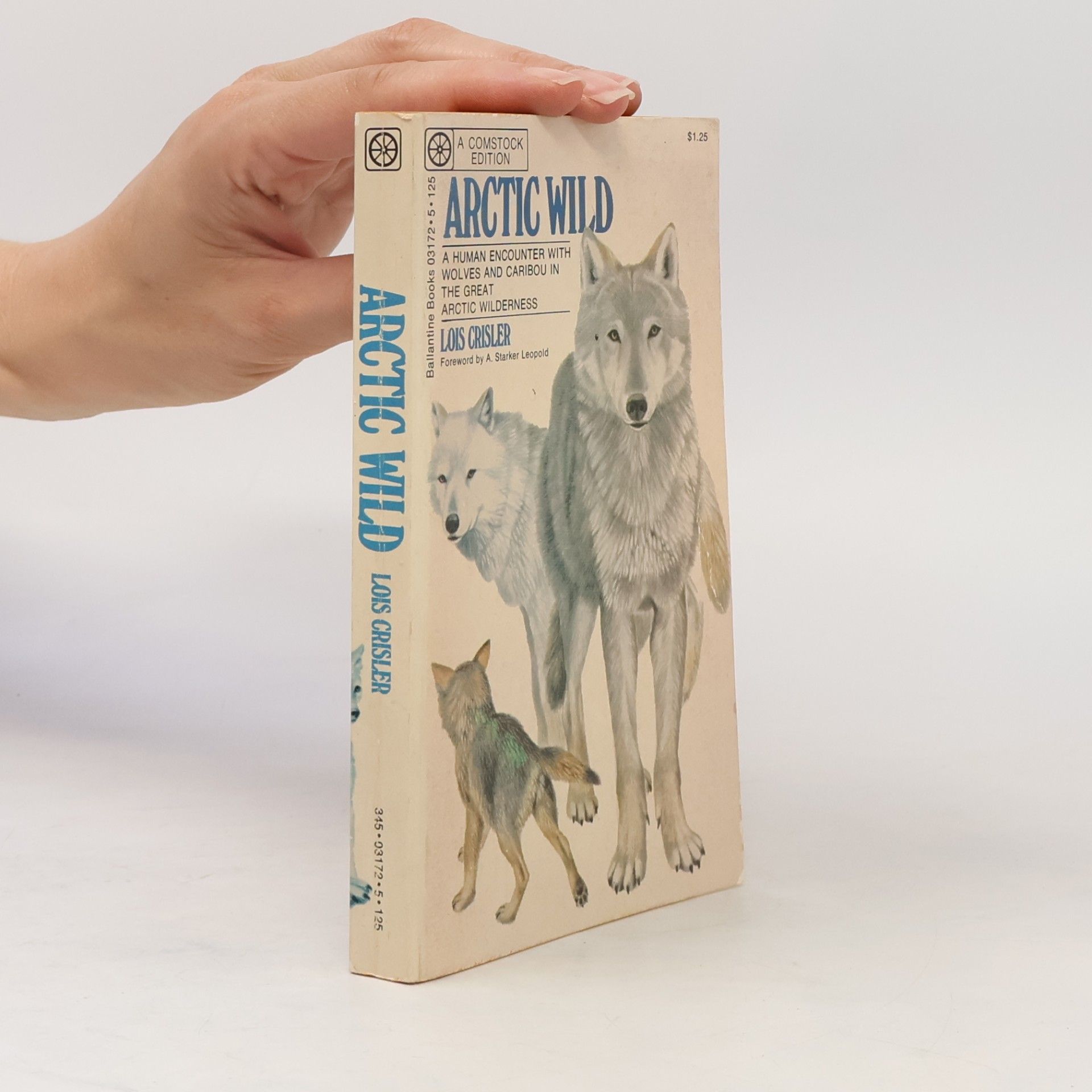 Arctic Wild