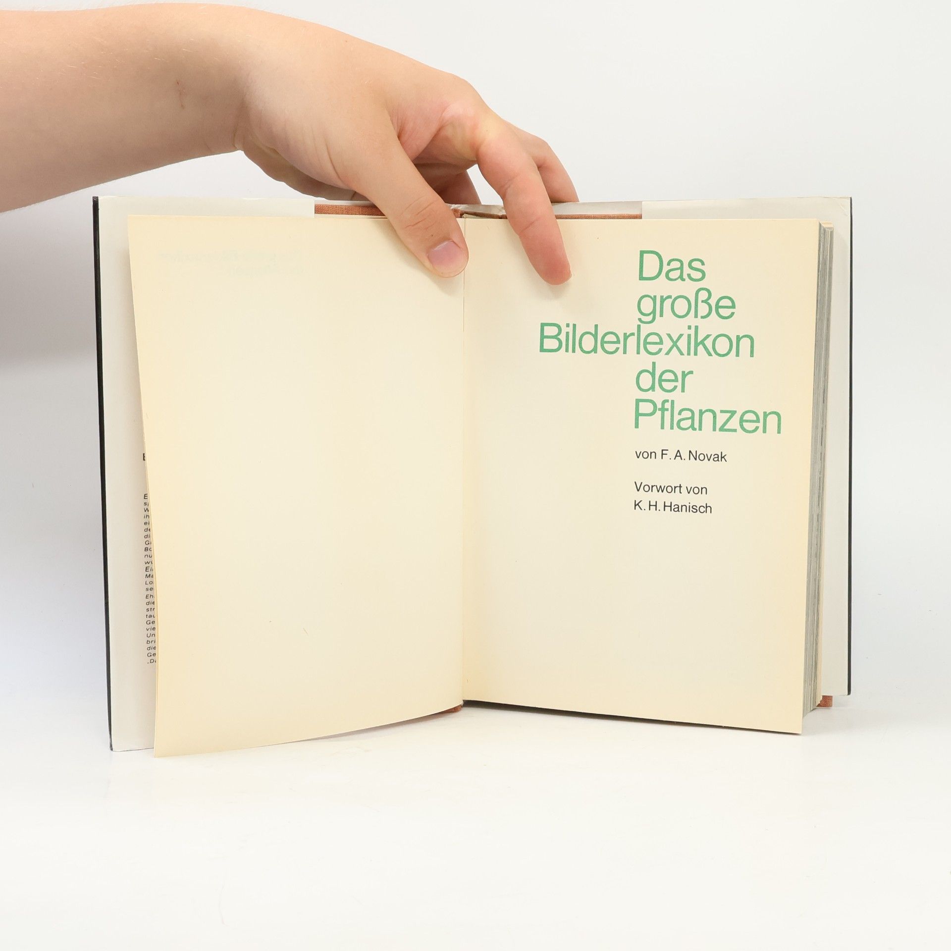 František Antonín Novák Das grosse Bilderlexikon der Pflanzen
