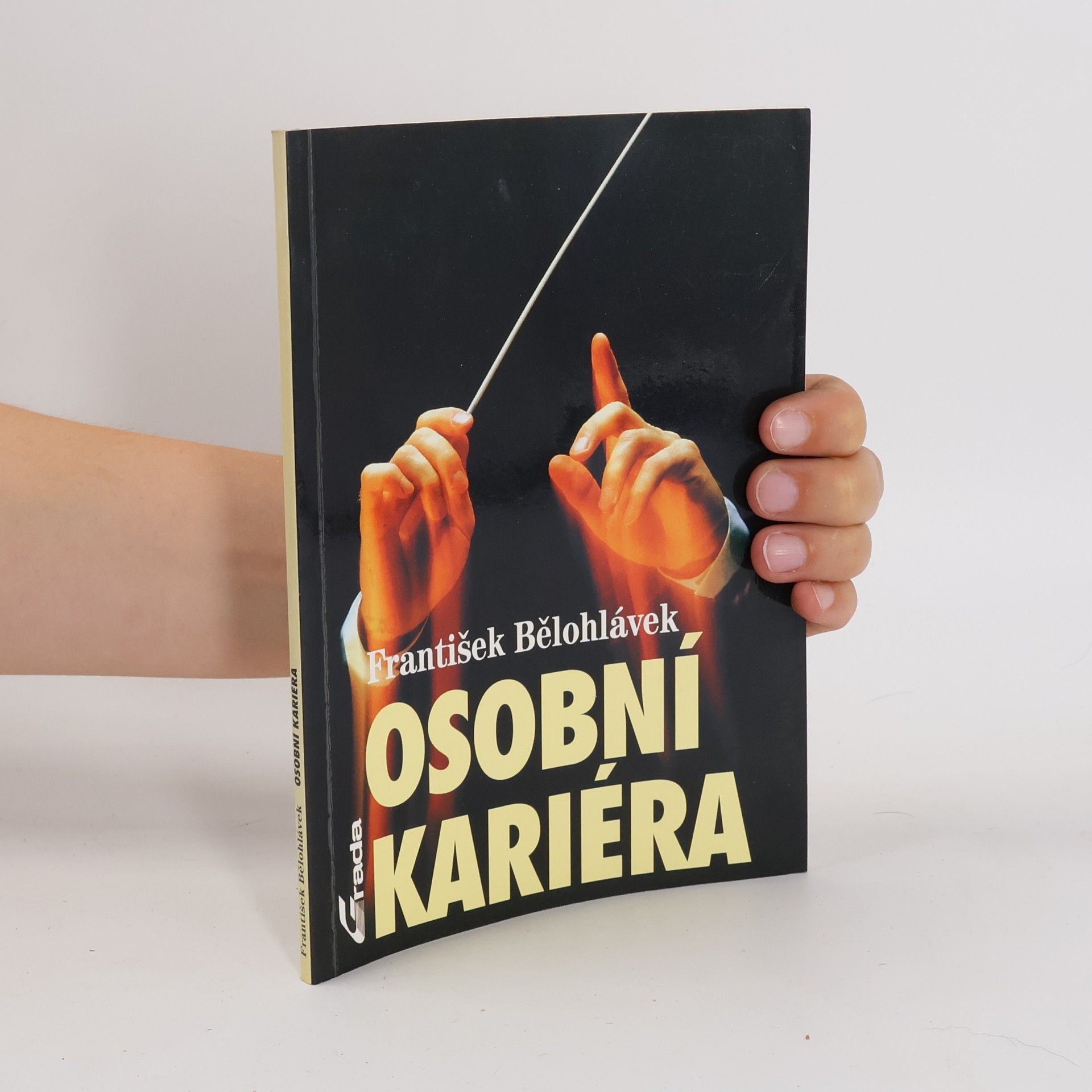 František Bělohlávek Osobní kariéra