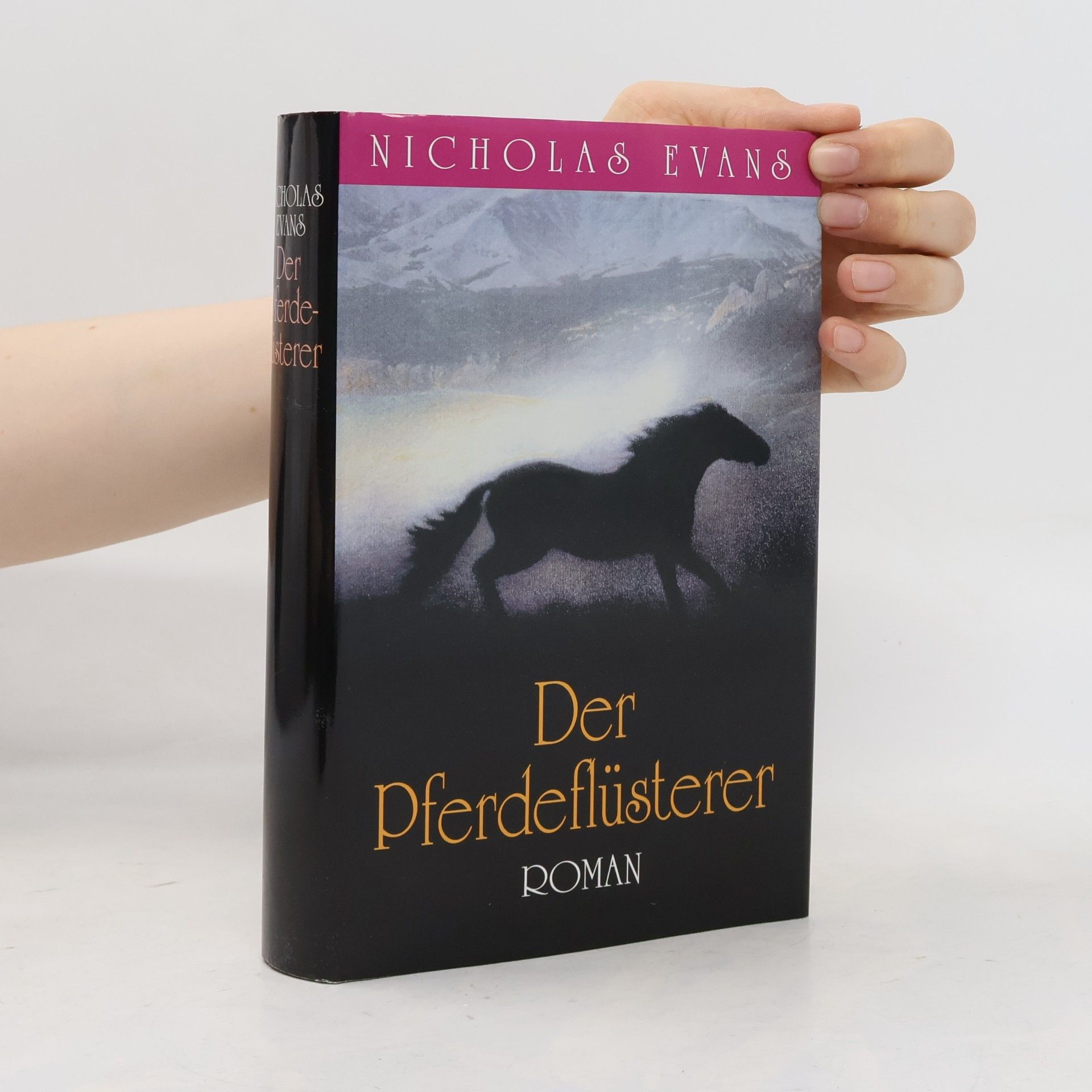 Nicholas Evans Der Pferdeflüsterer