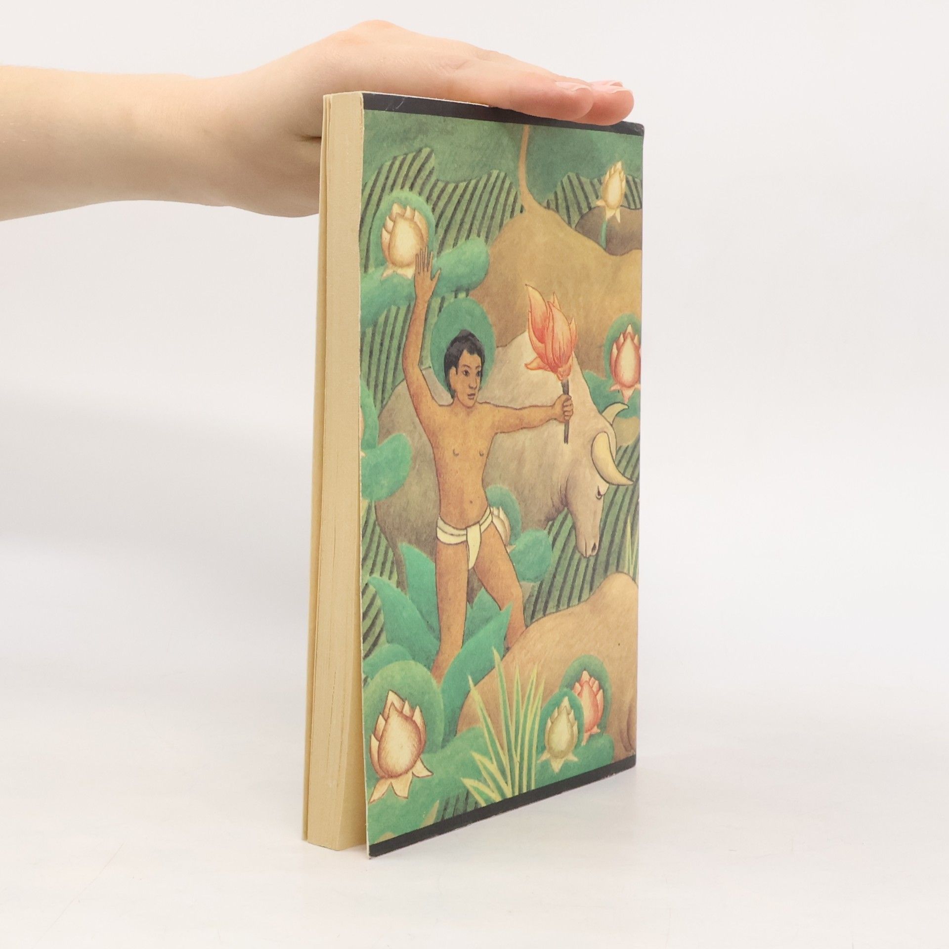 Rudyard Kipling Das Dschungelbuch