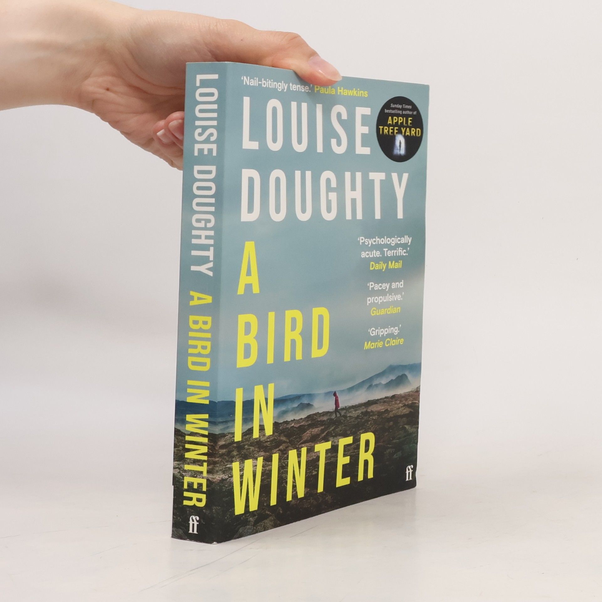 Louise Doughty A Bird in Winter