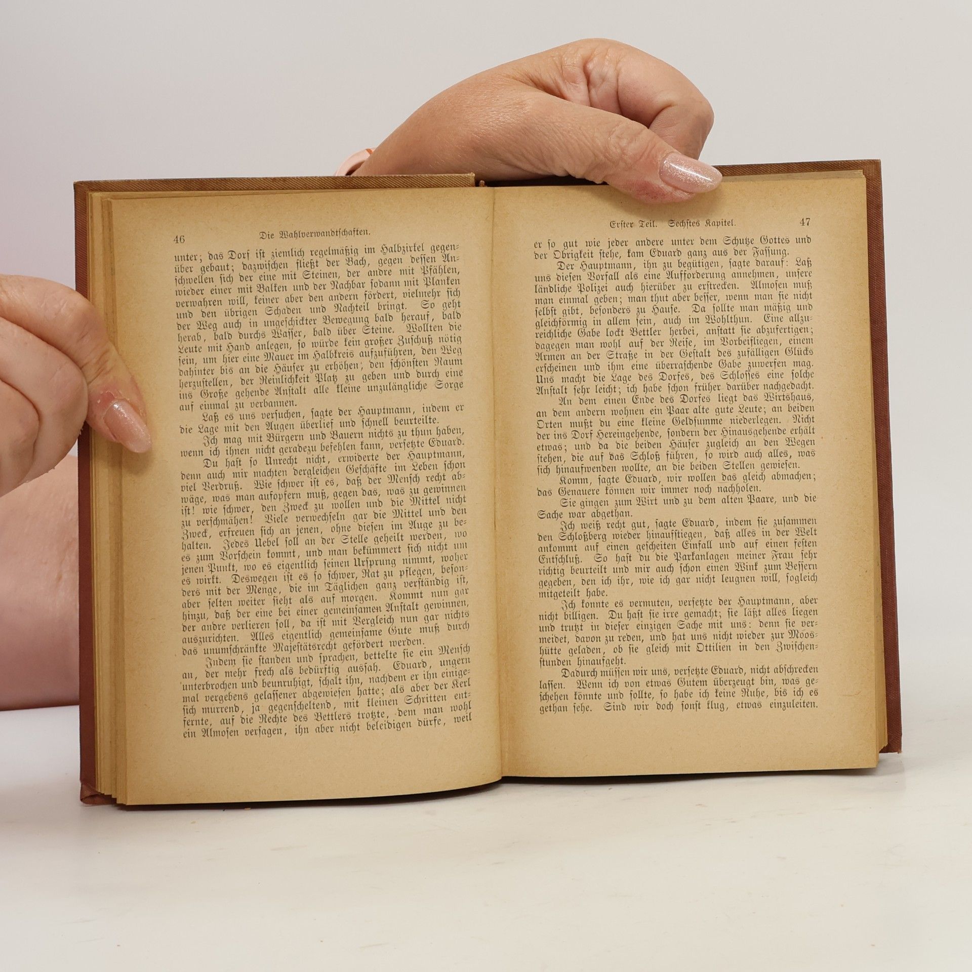 Johann Wolfgang von Goethe Goethes Sämtliche Werke 19