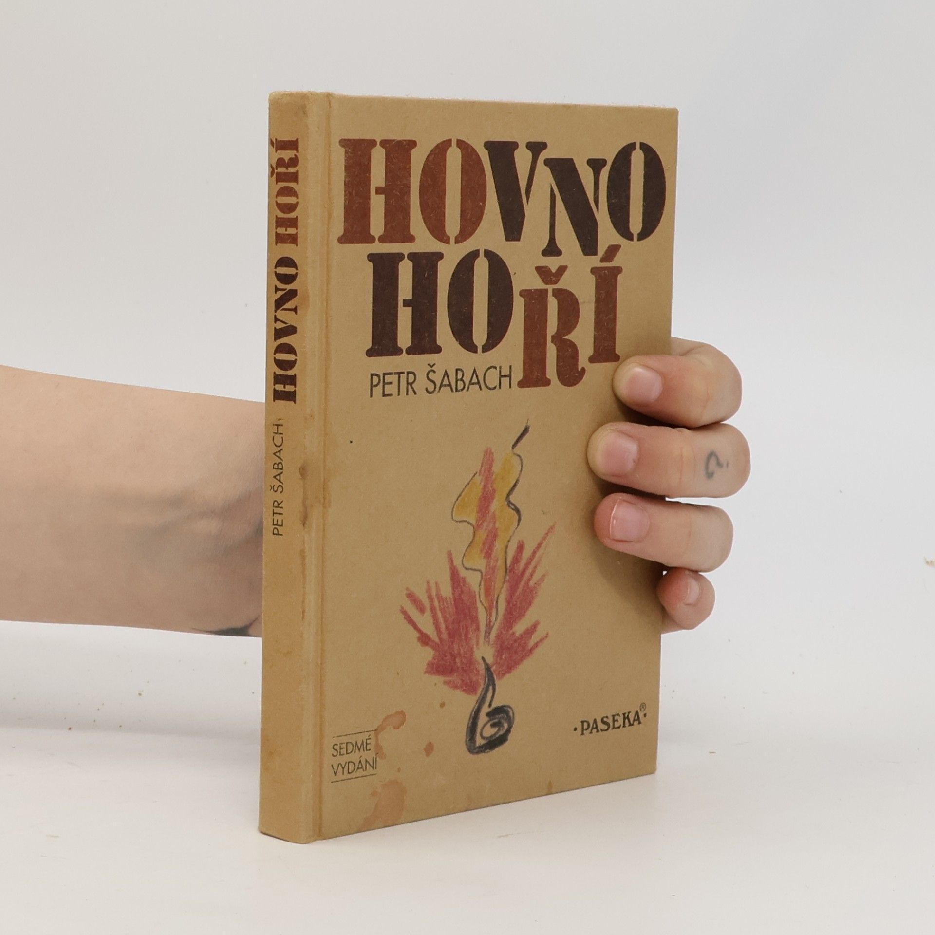 Petr Šabach Hovno hoří