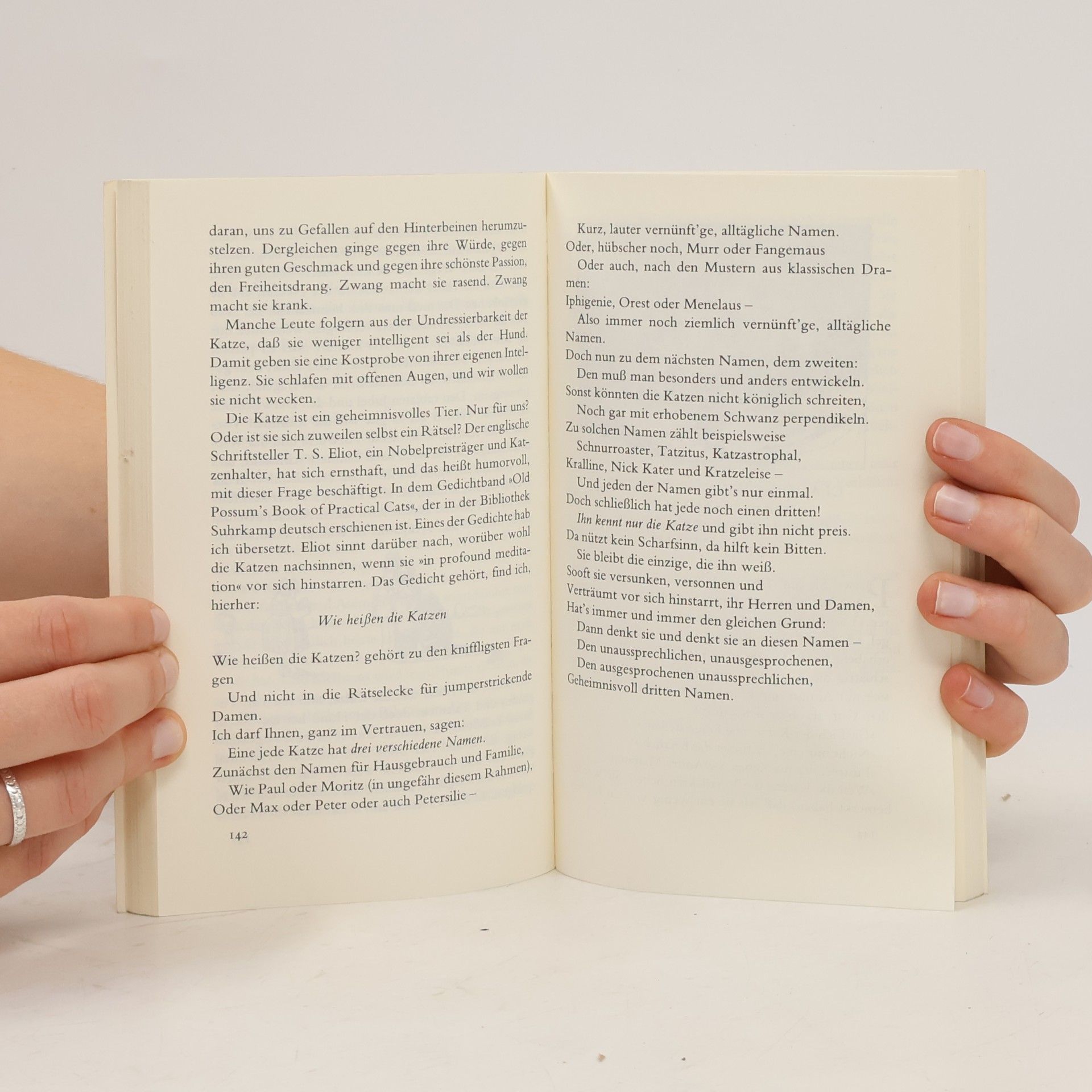 Autorenkollektiv Das Katzenbuch