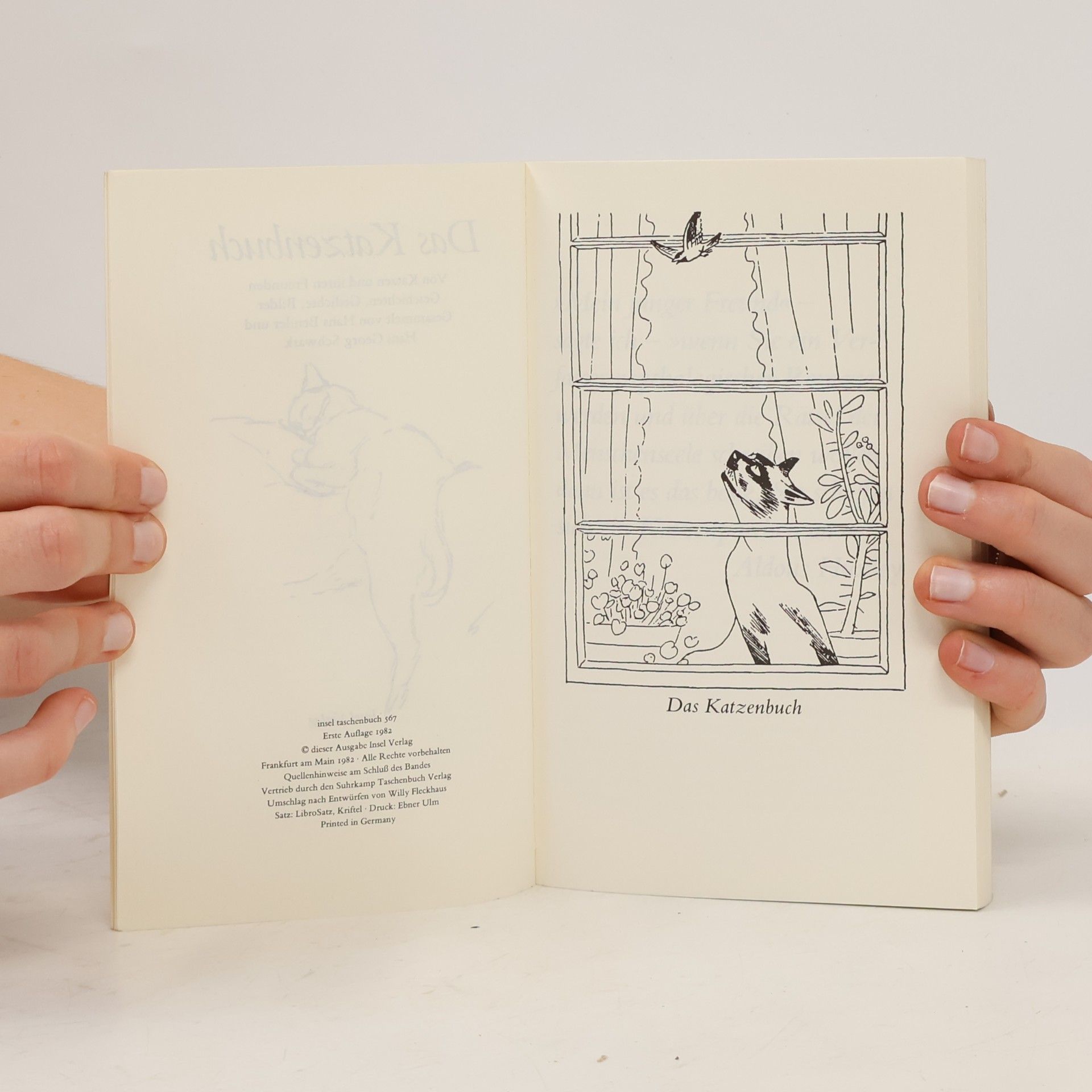 Autorenkollektiv Das Katzenbuch