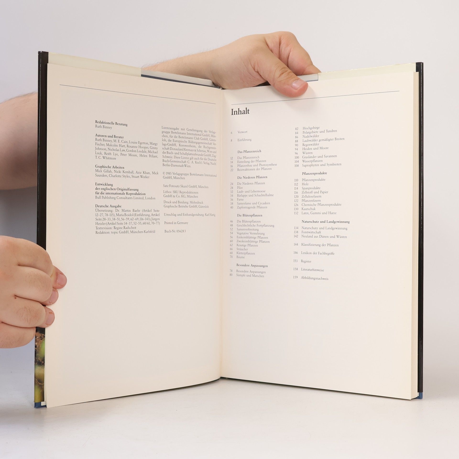 Autorenkollektiv Die Pflanzen. Algen, Blumen, Holzegewäsche