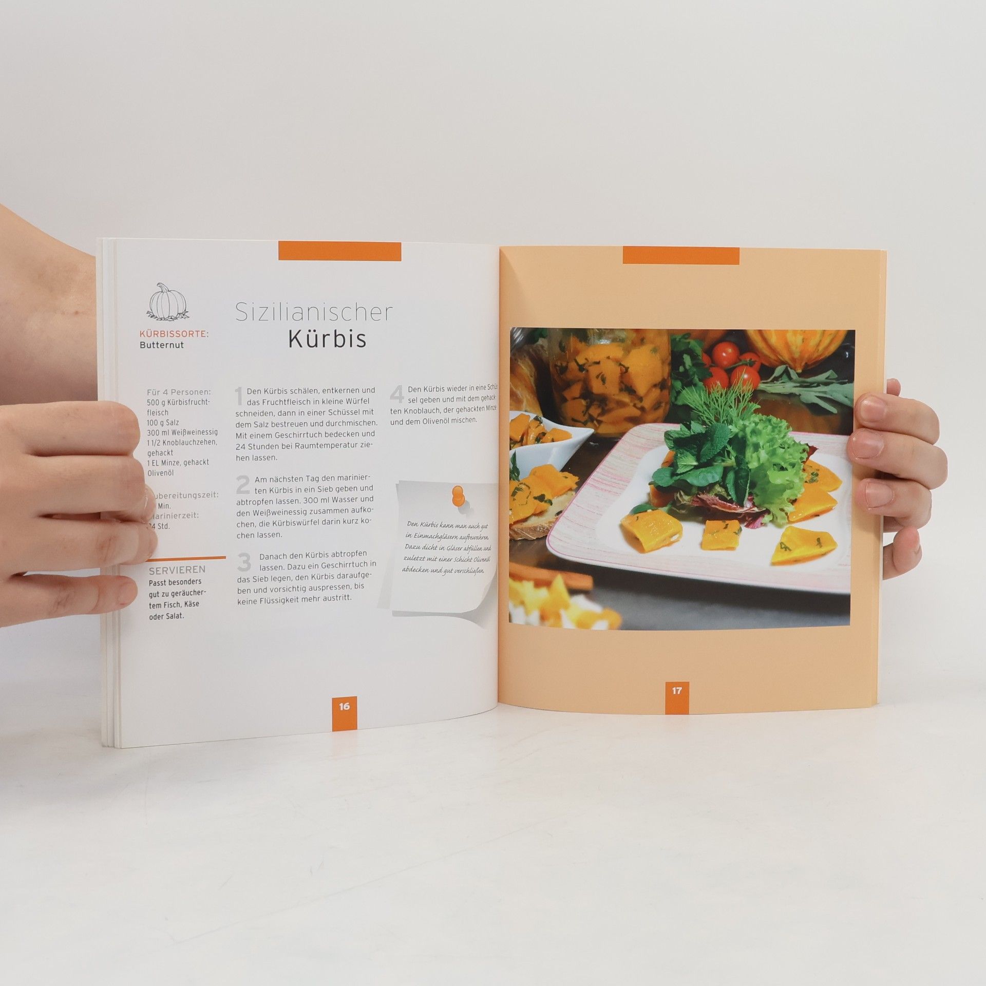 Susi 26 x Kürbis in Bestform