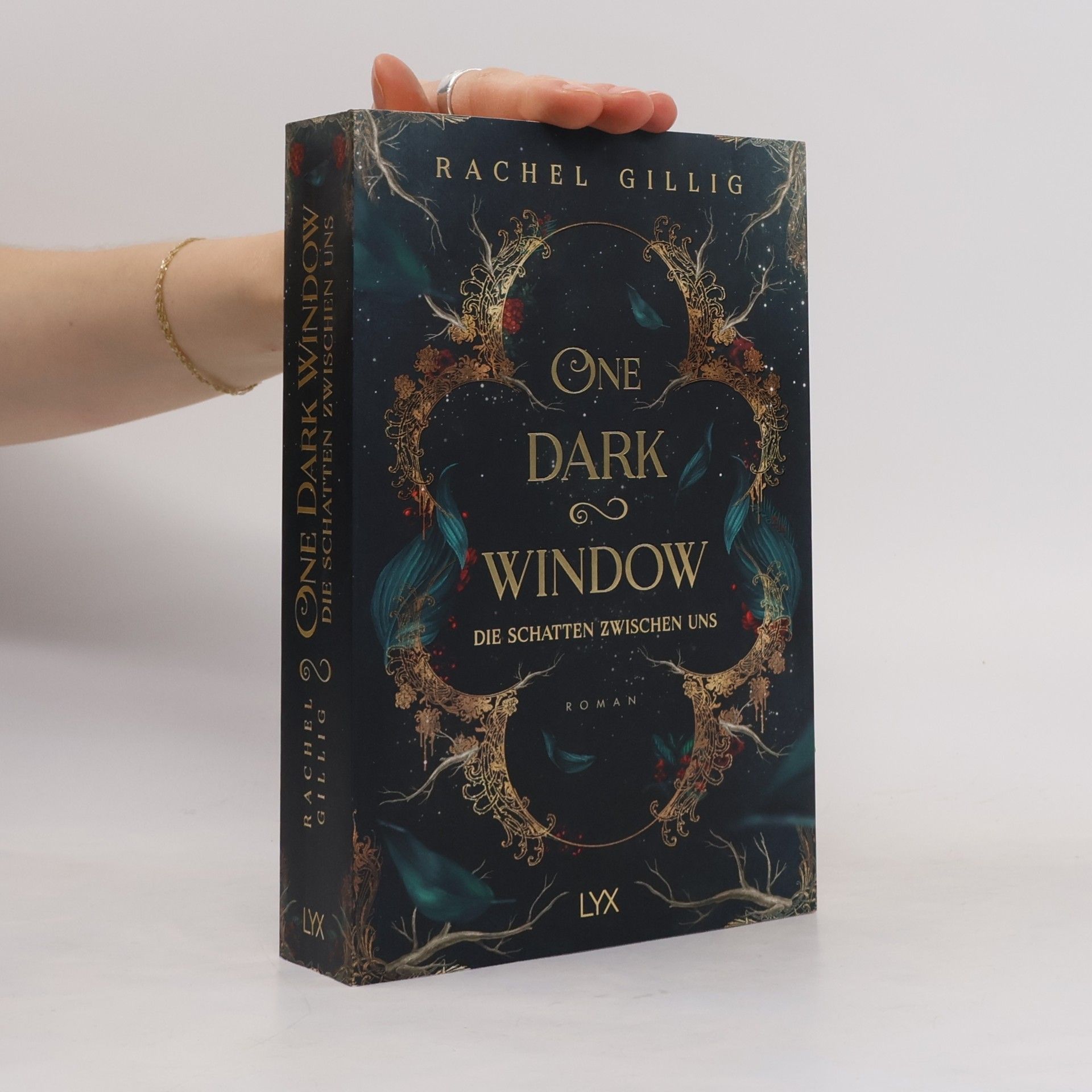 Rachel Gillig One Dark Window - Die Schatten zwischen uns