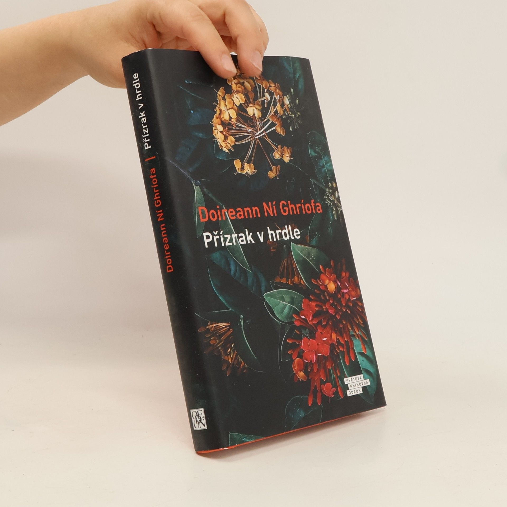 Doireann Ní Ghríofa Přízrak v hrdle