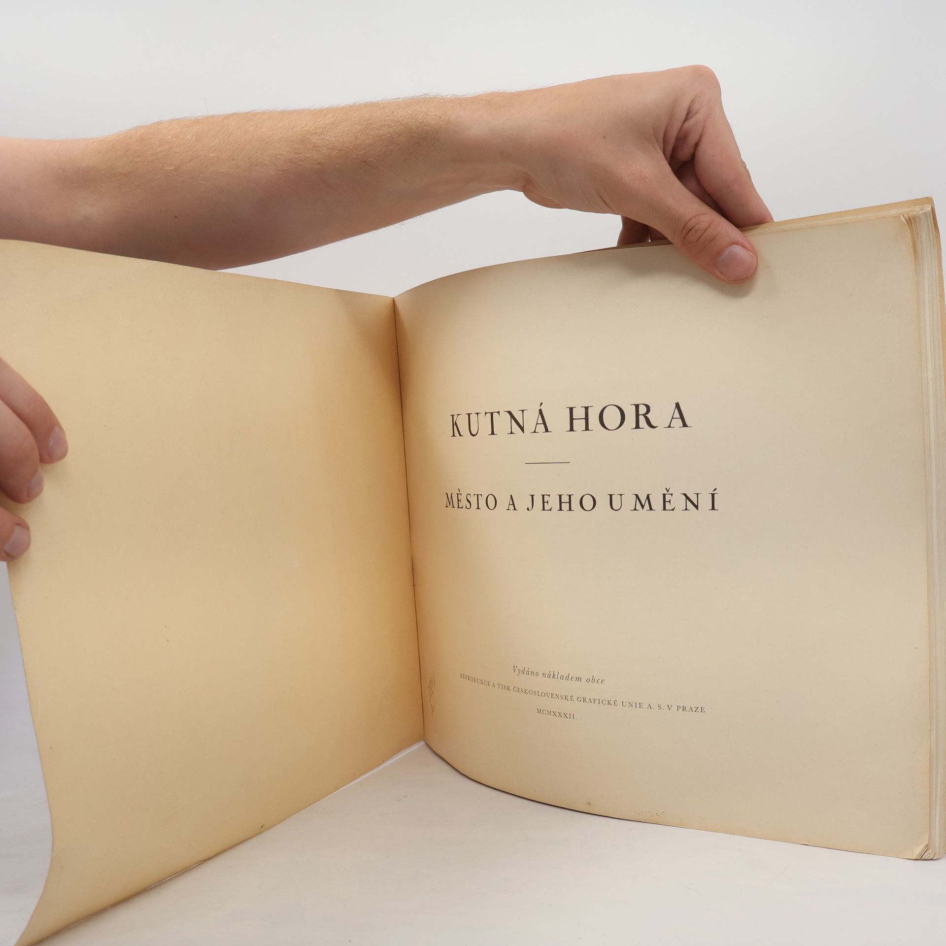 Autorenkollektiv Kutná Hora : Město a jeho umění
